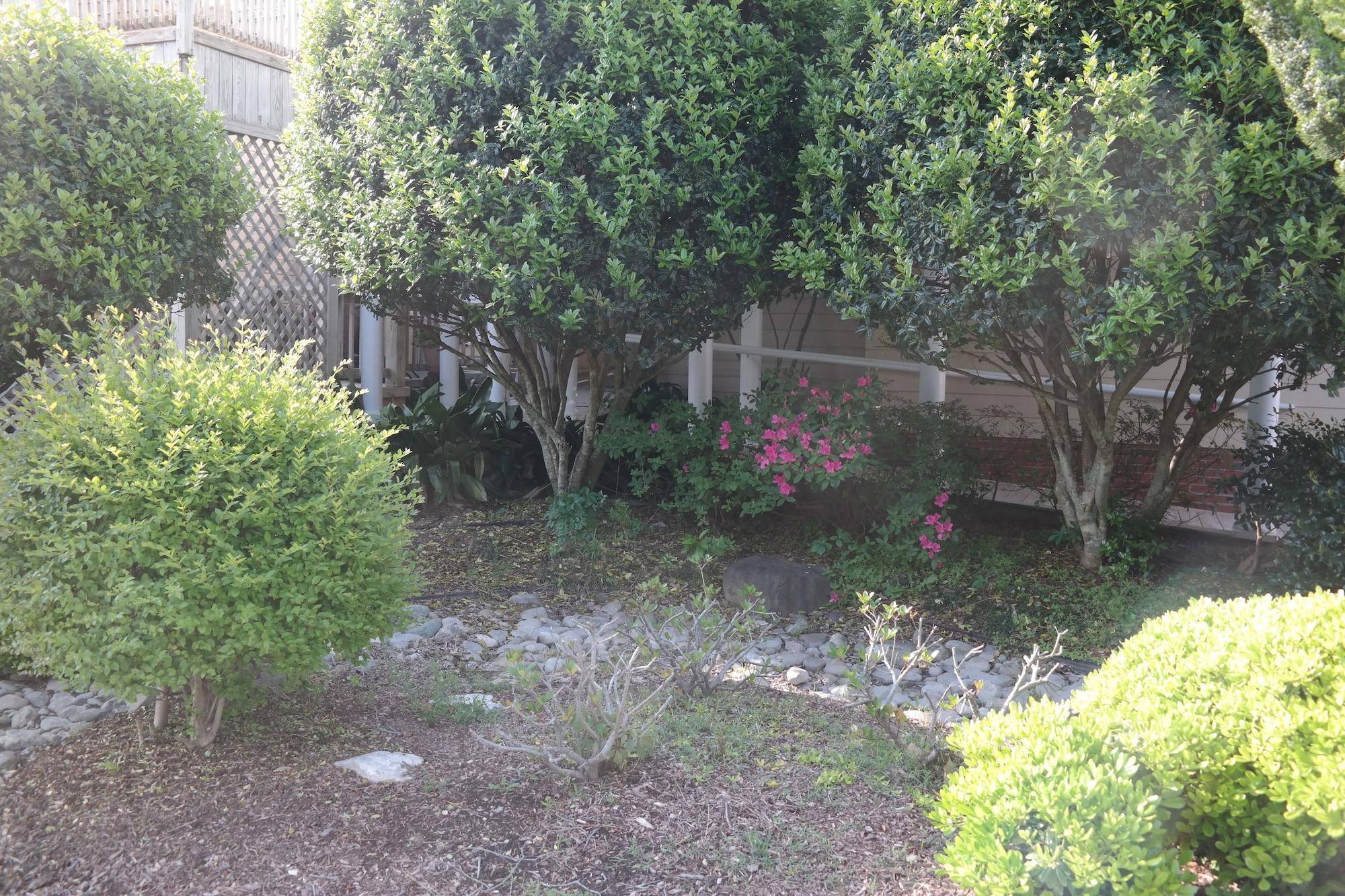 image url