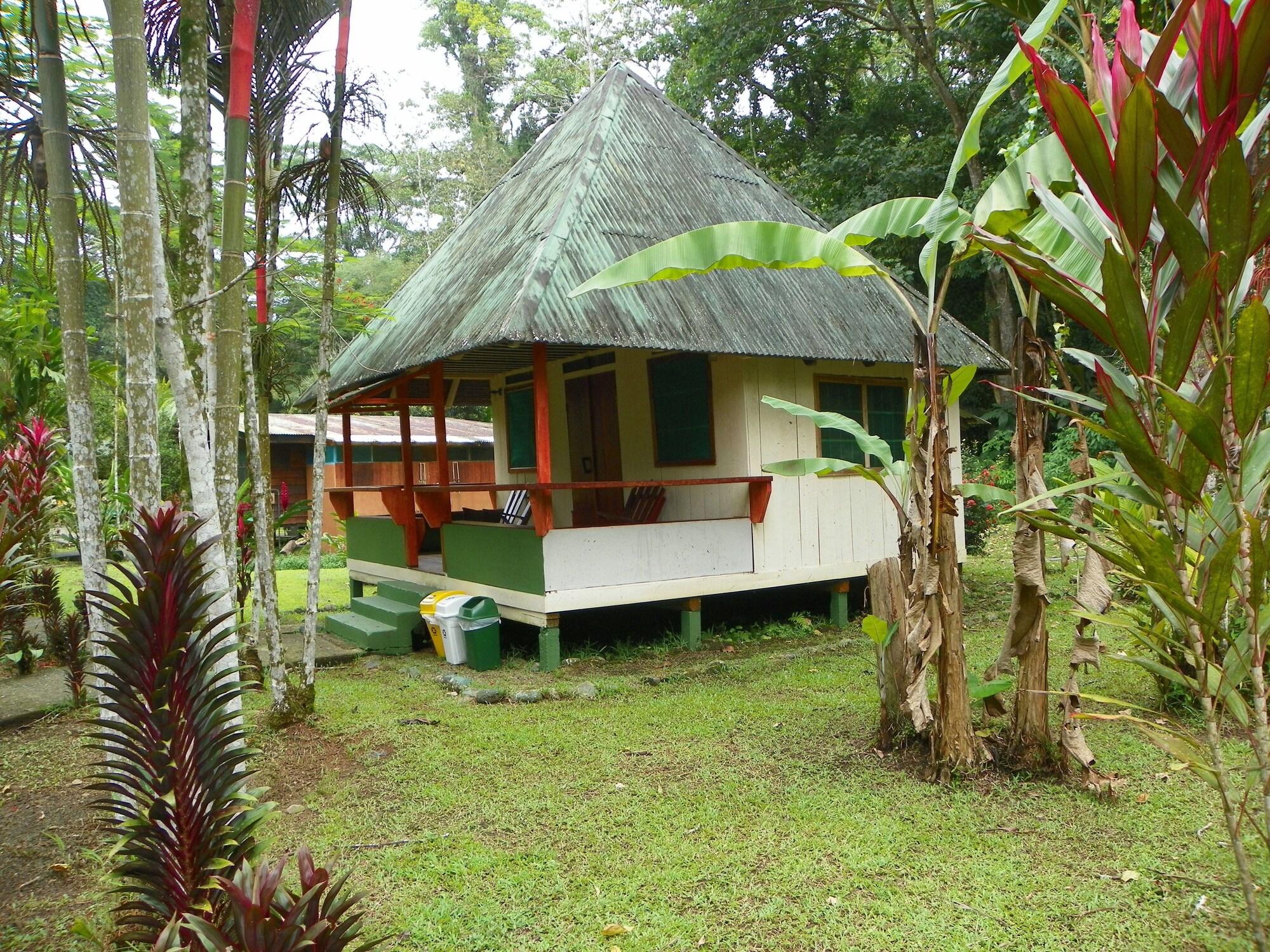 image url