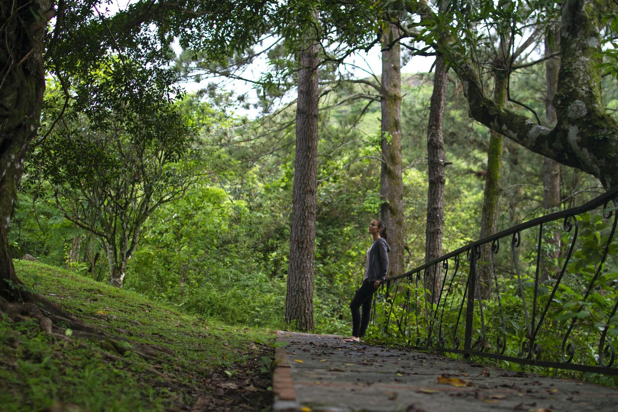 image url