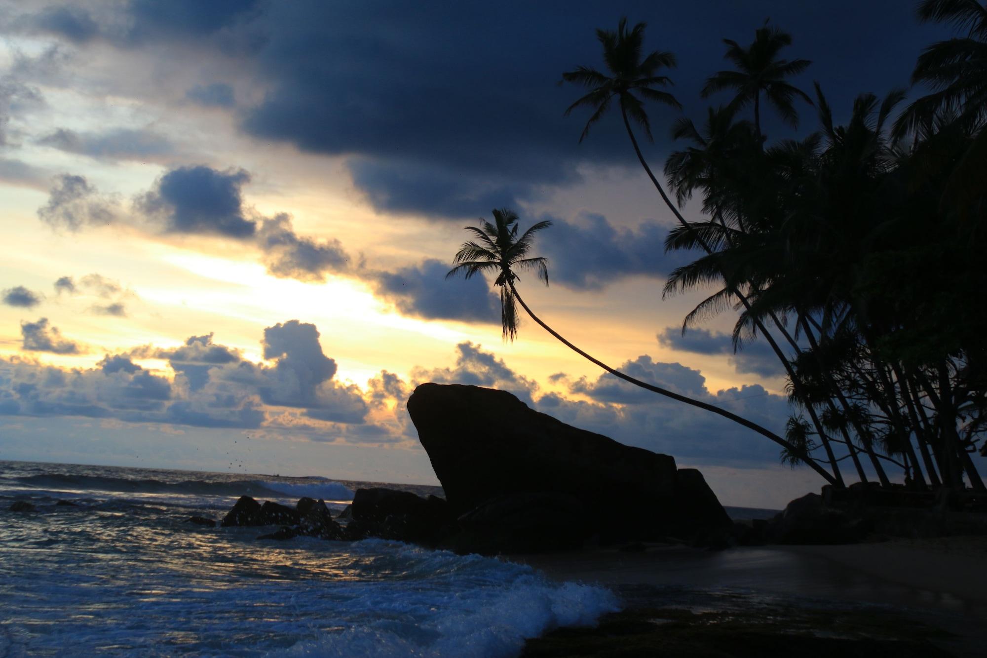 image url