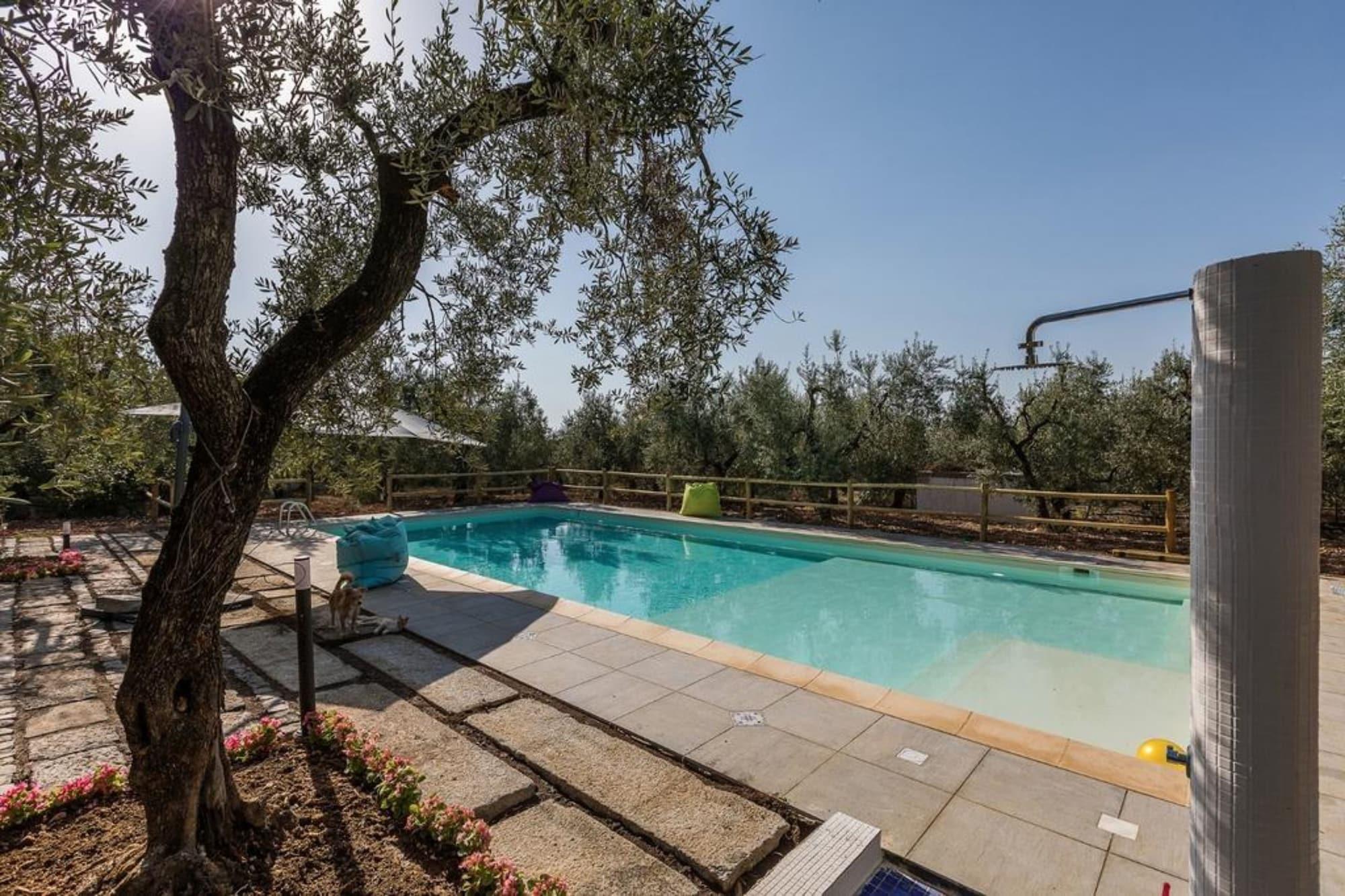 images