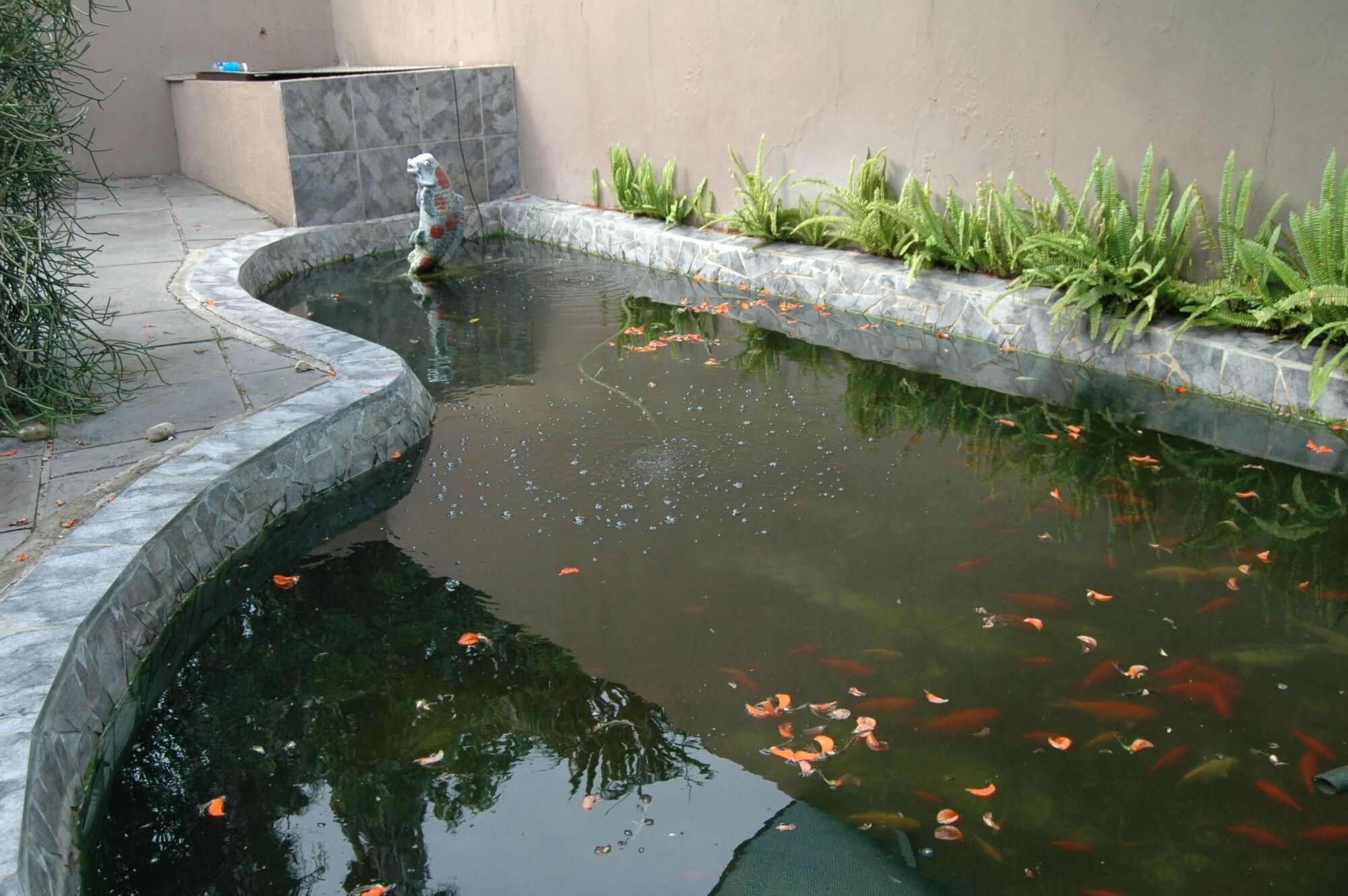 image url