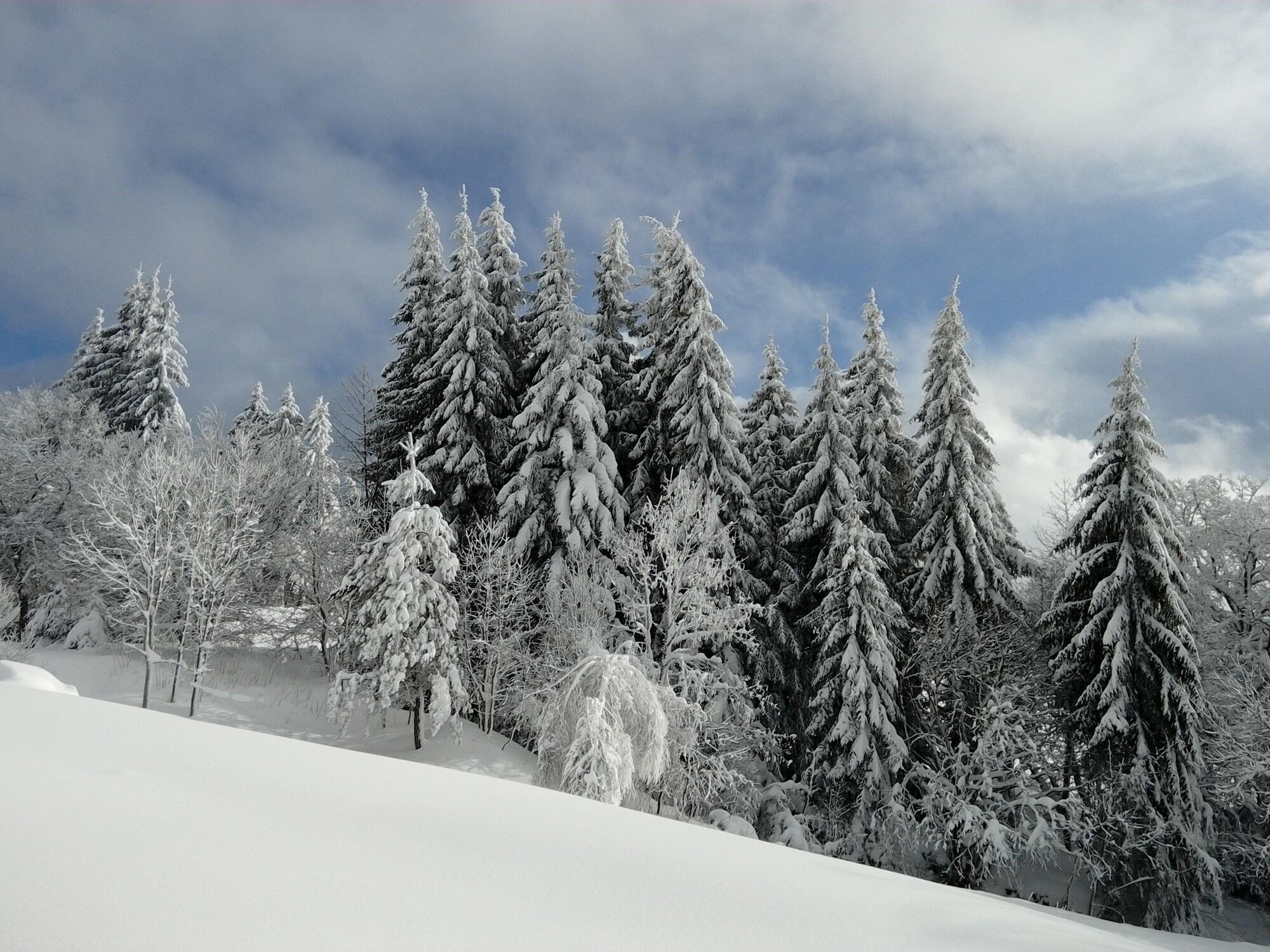 images