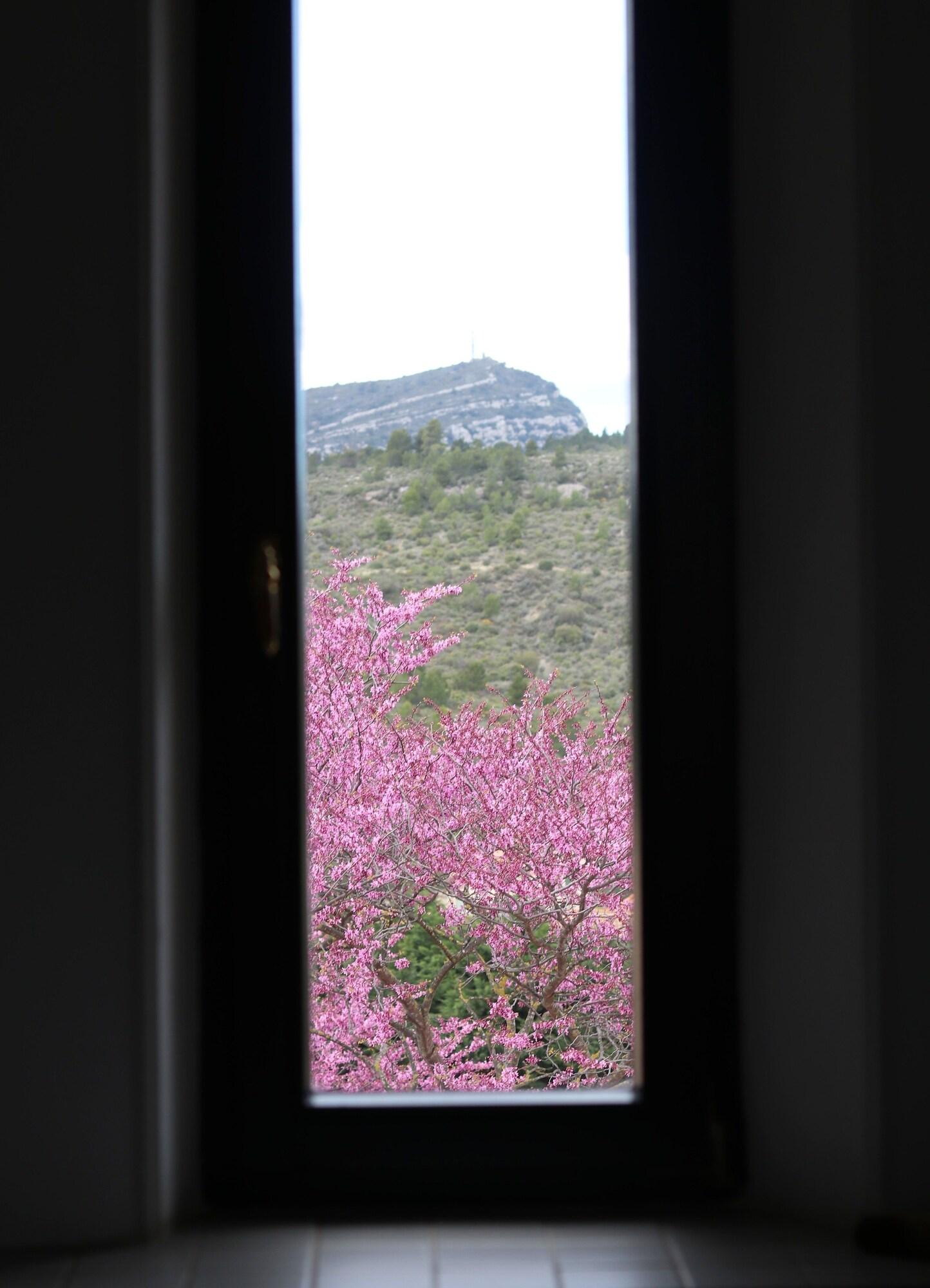 image url