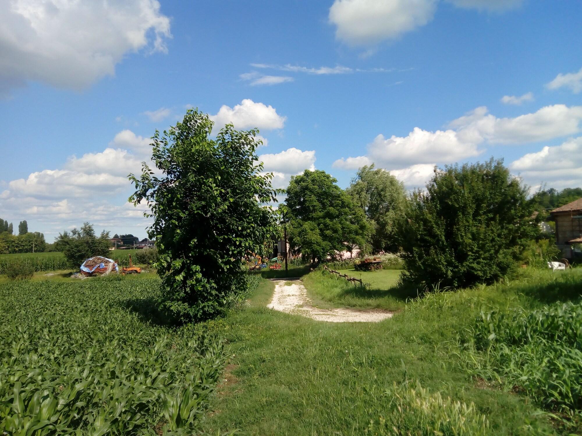 image url