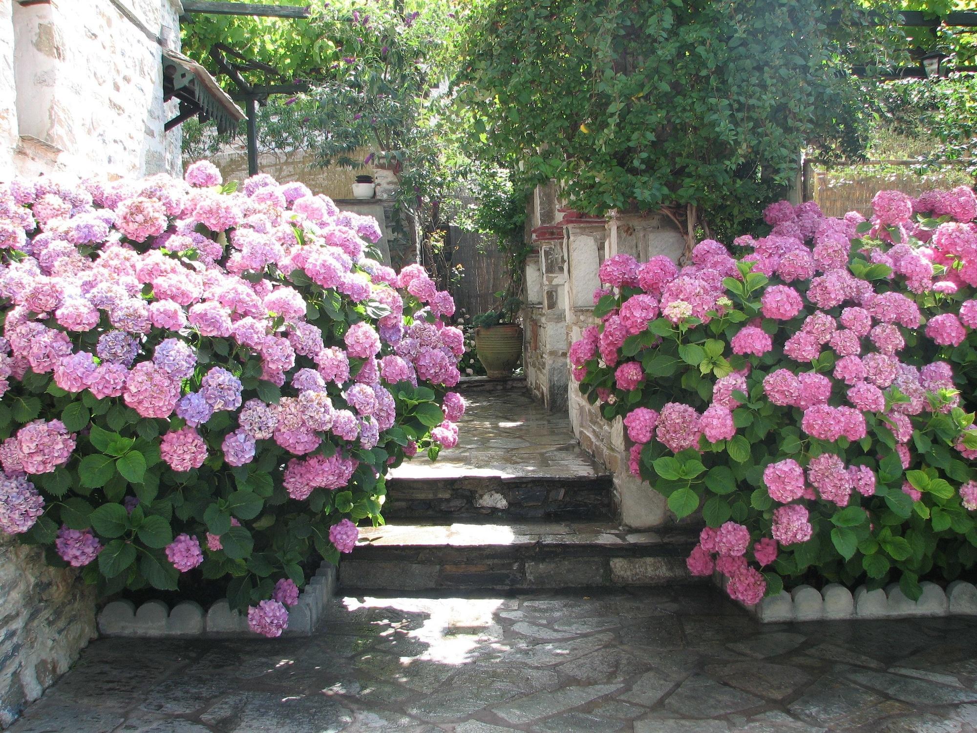 image url