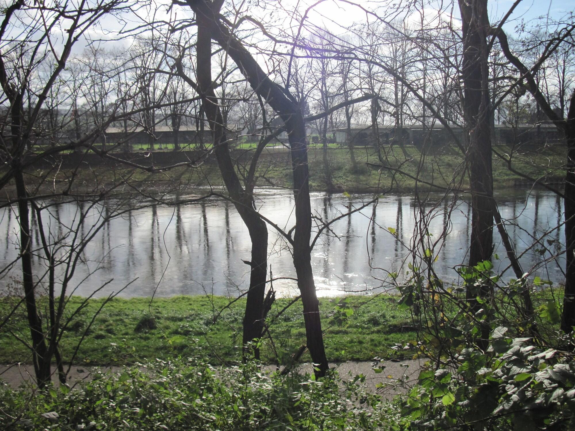 image url