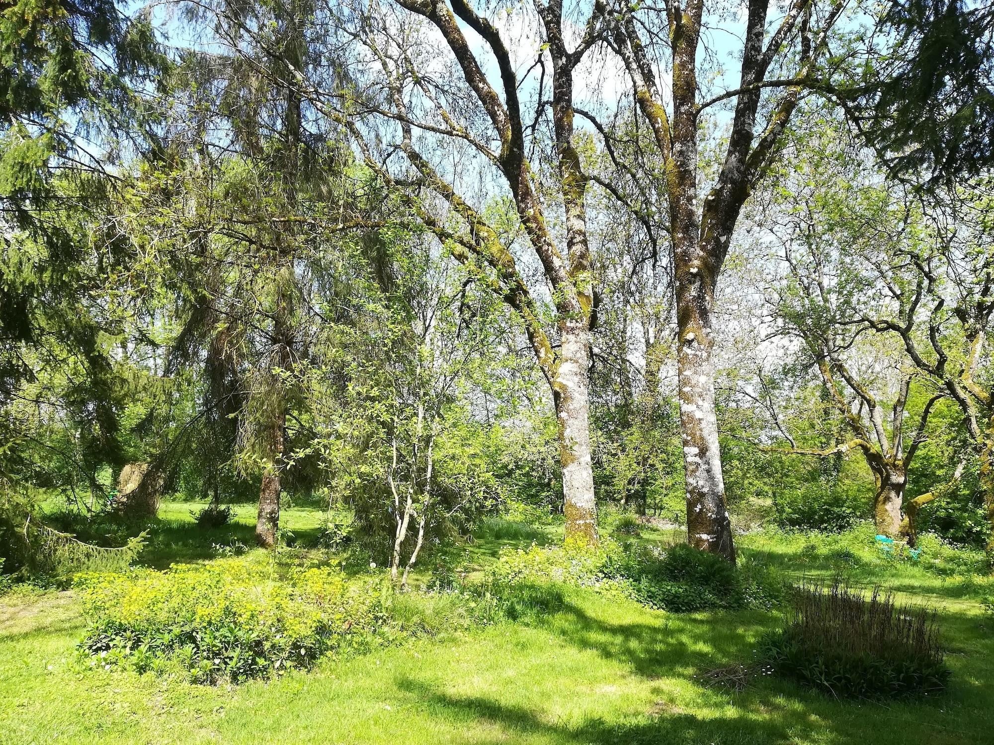 image url