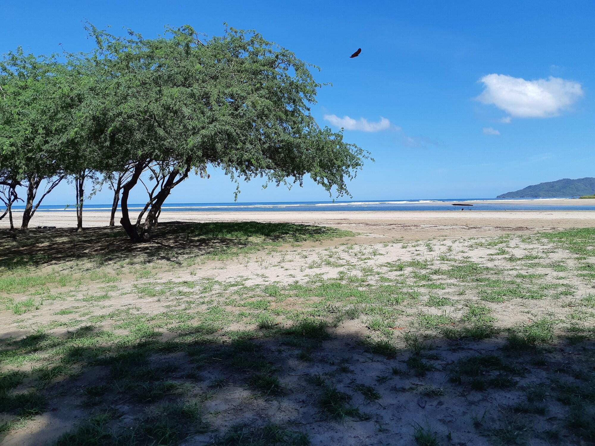 image url