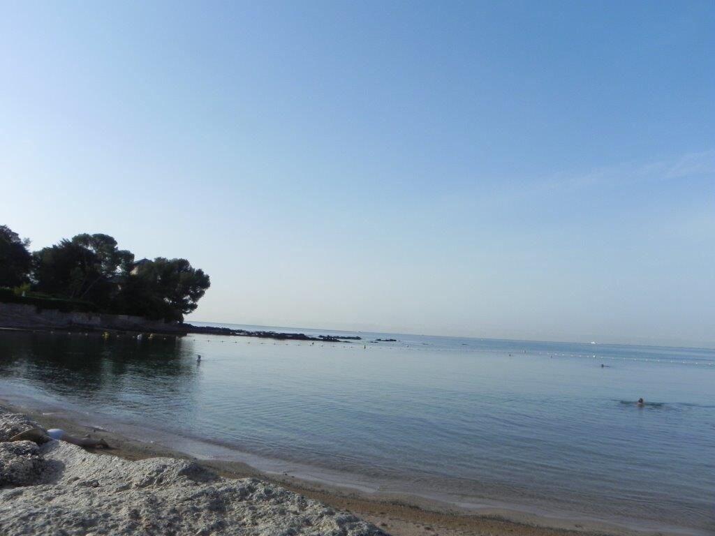 image url