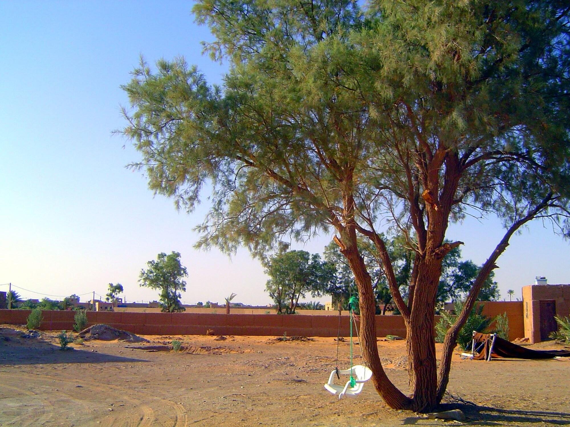 image url