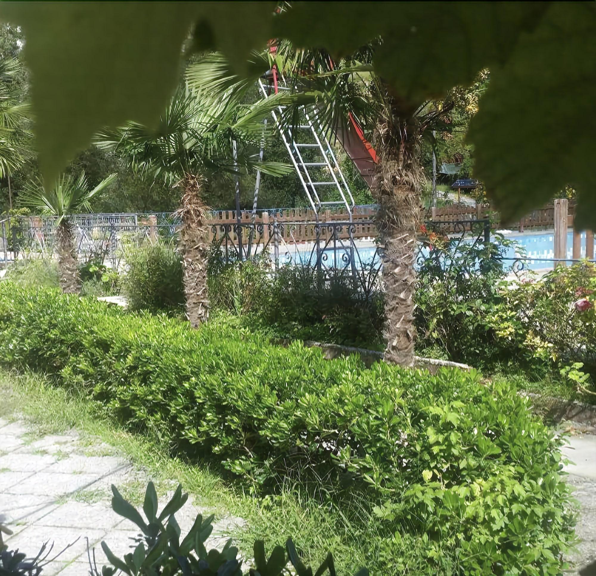 image url