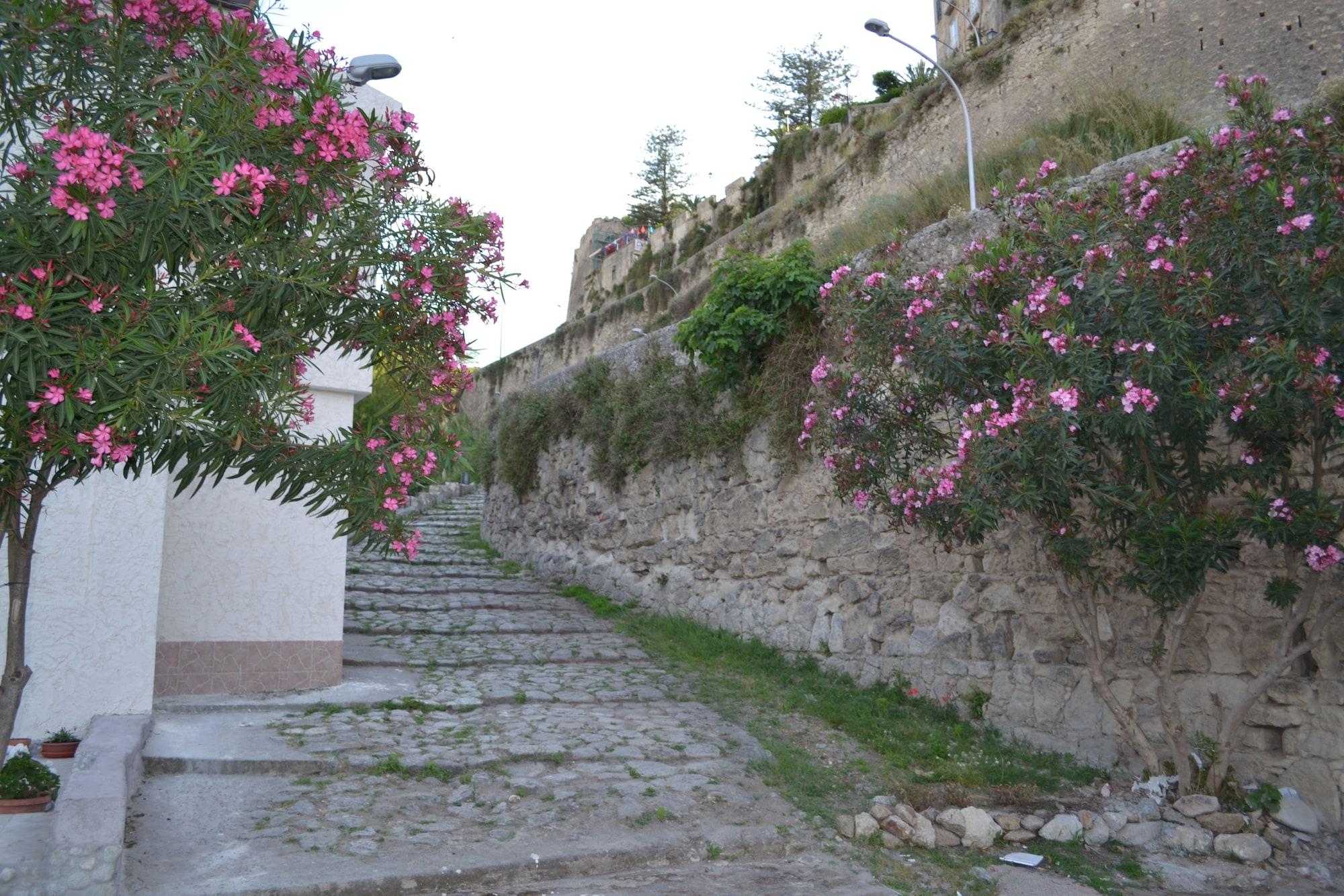 image url