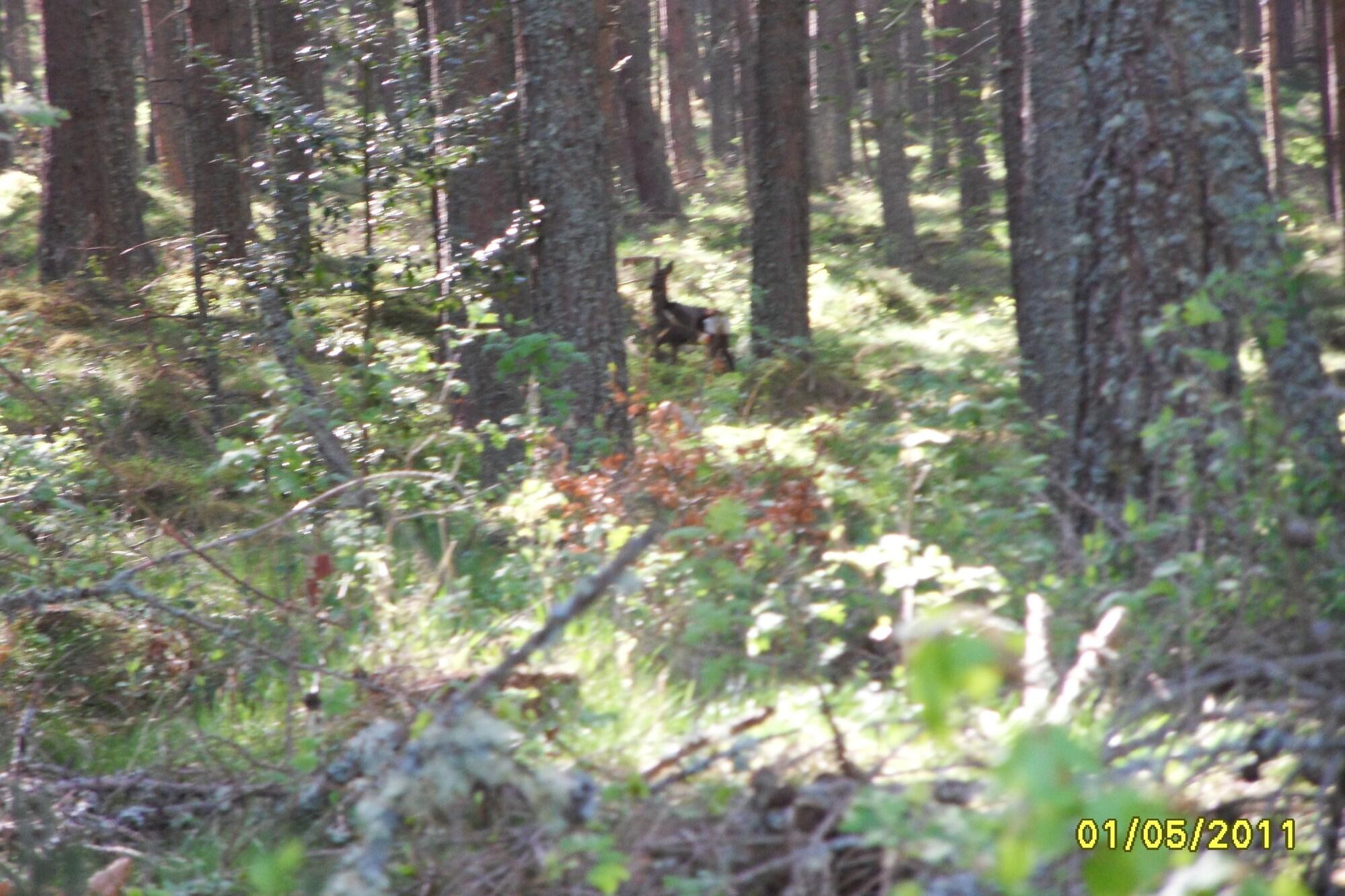 image url