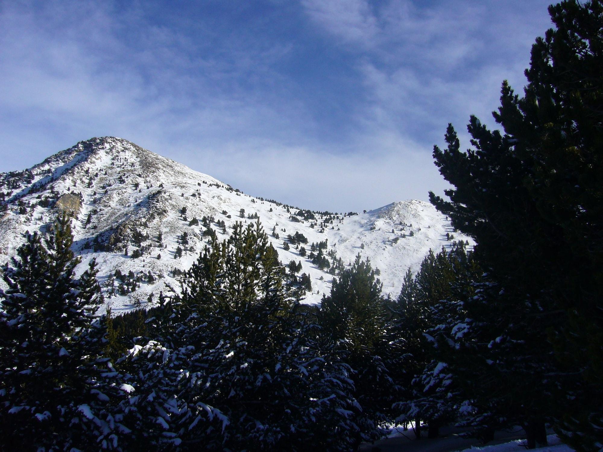 image url