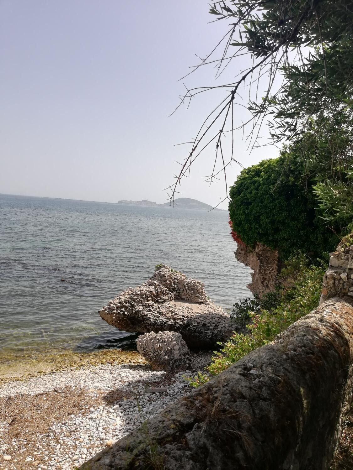 image url