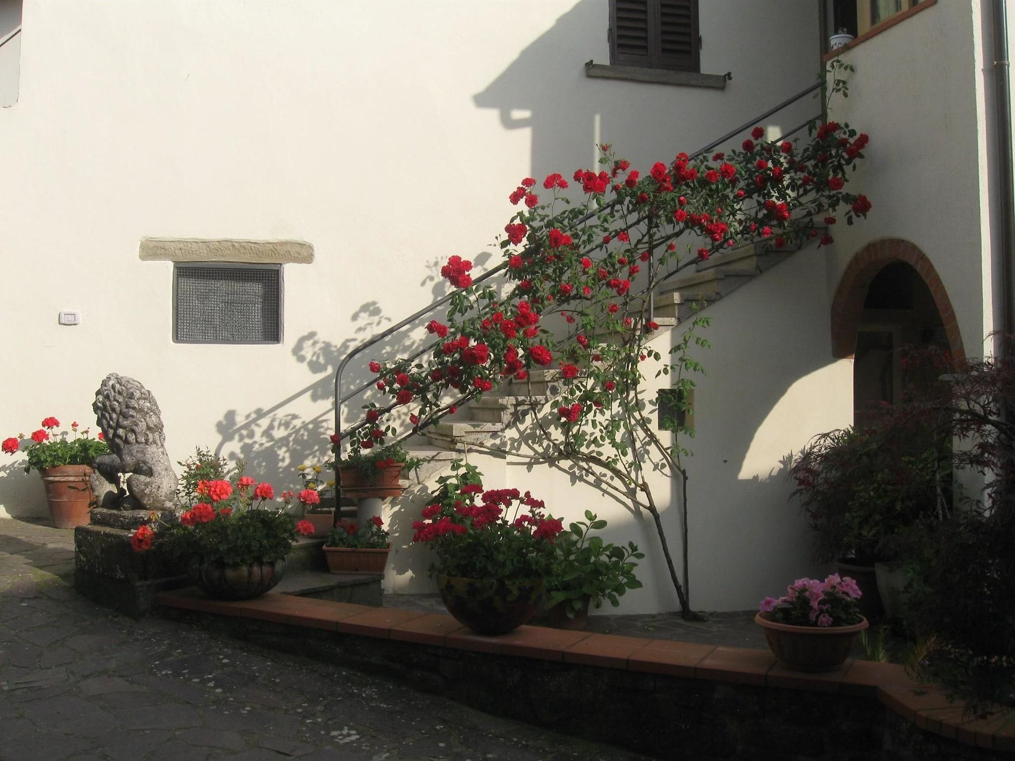 image url