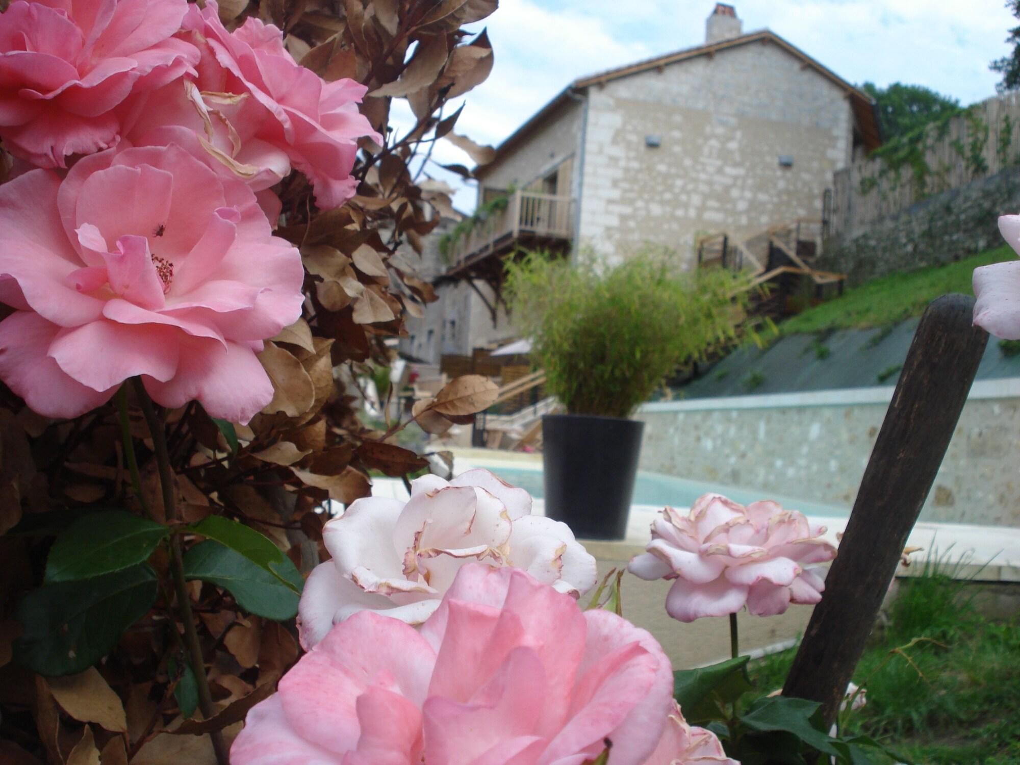 image url