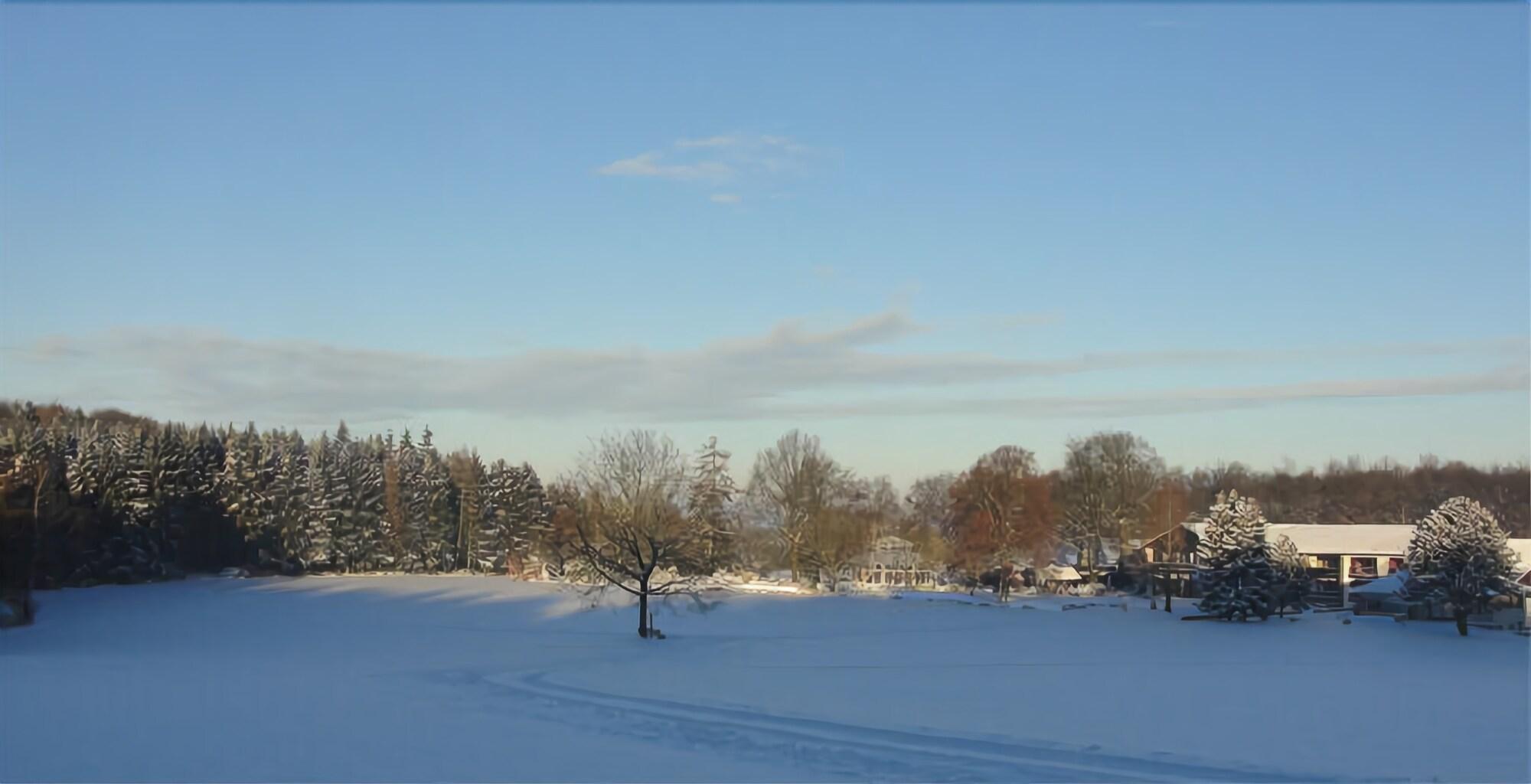 image url