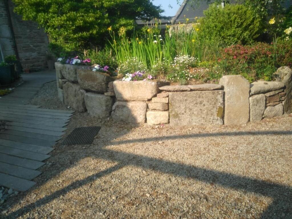 image url