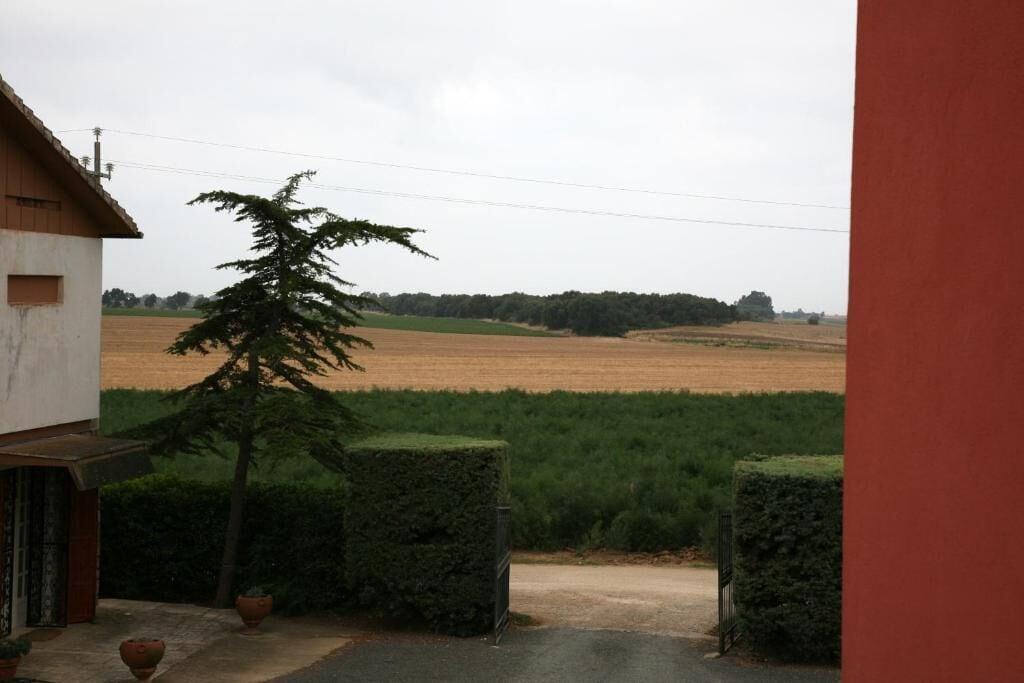 images