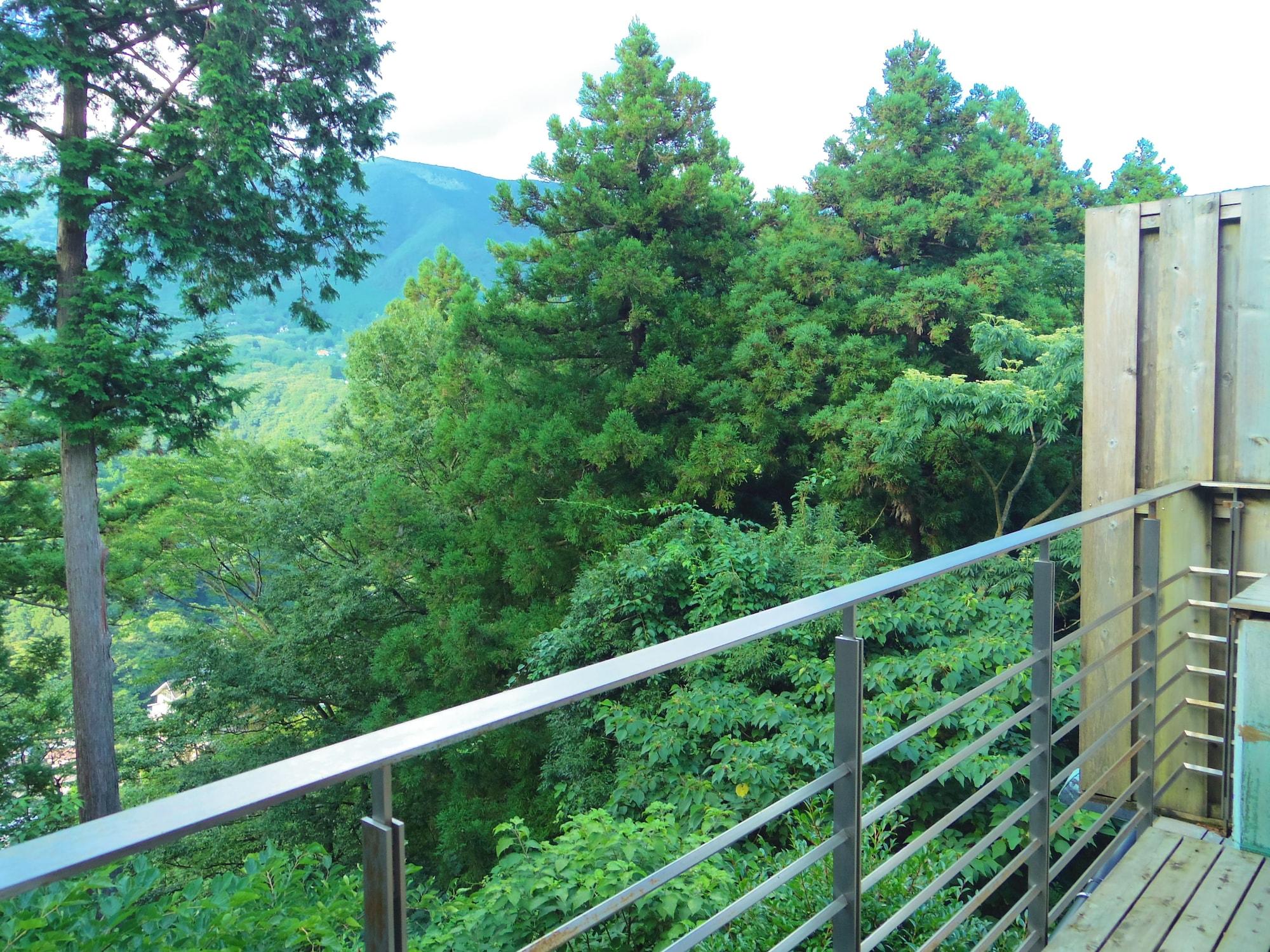 image url