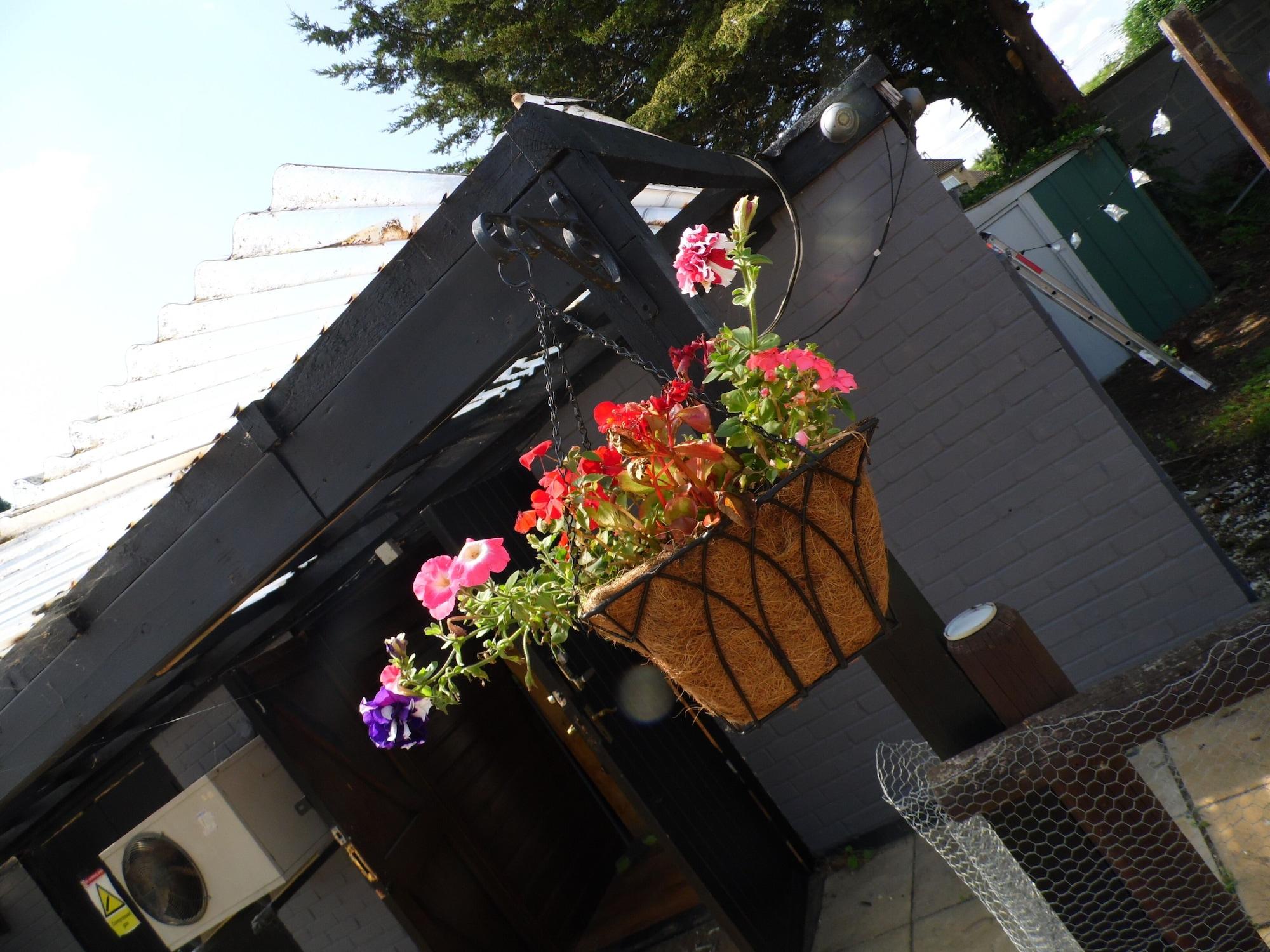 image url