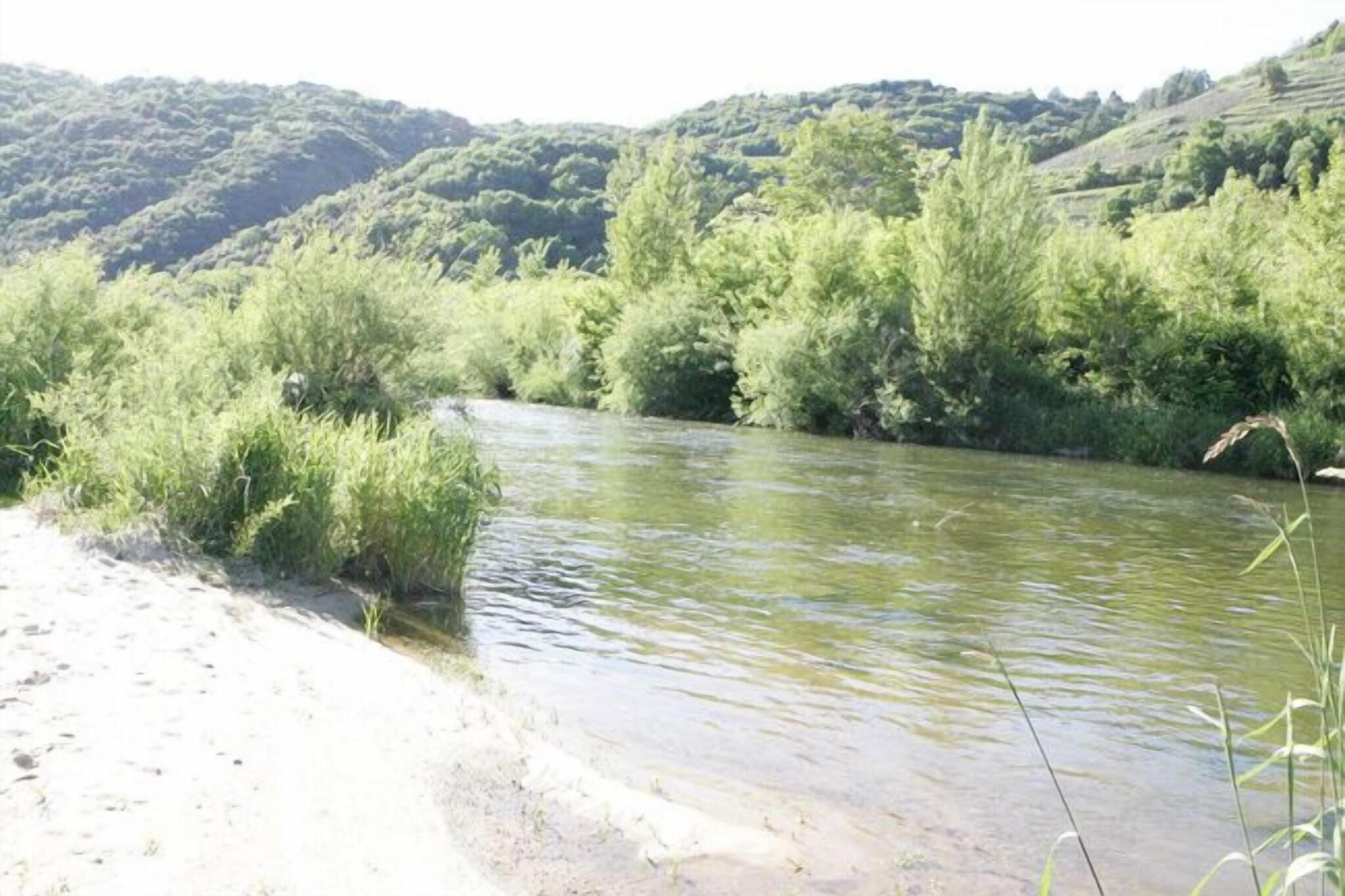 image url