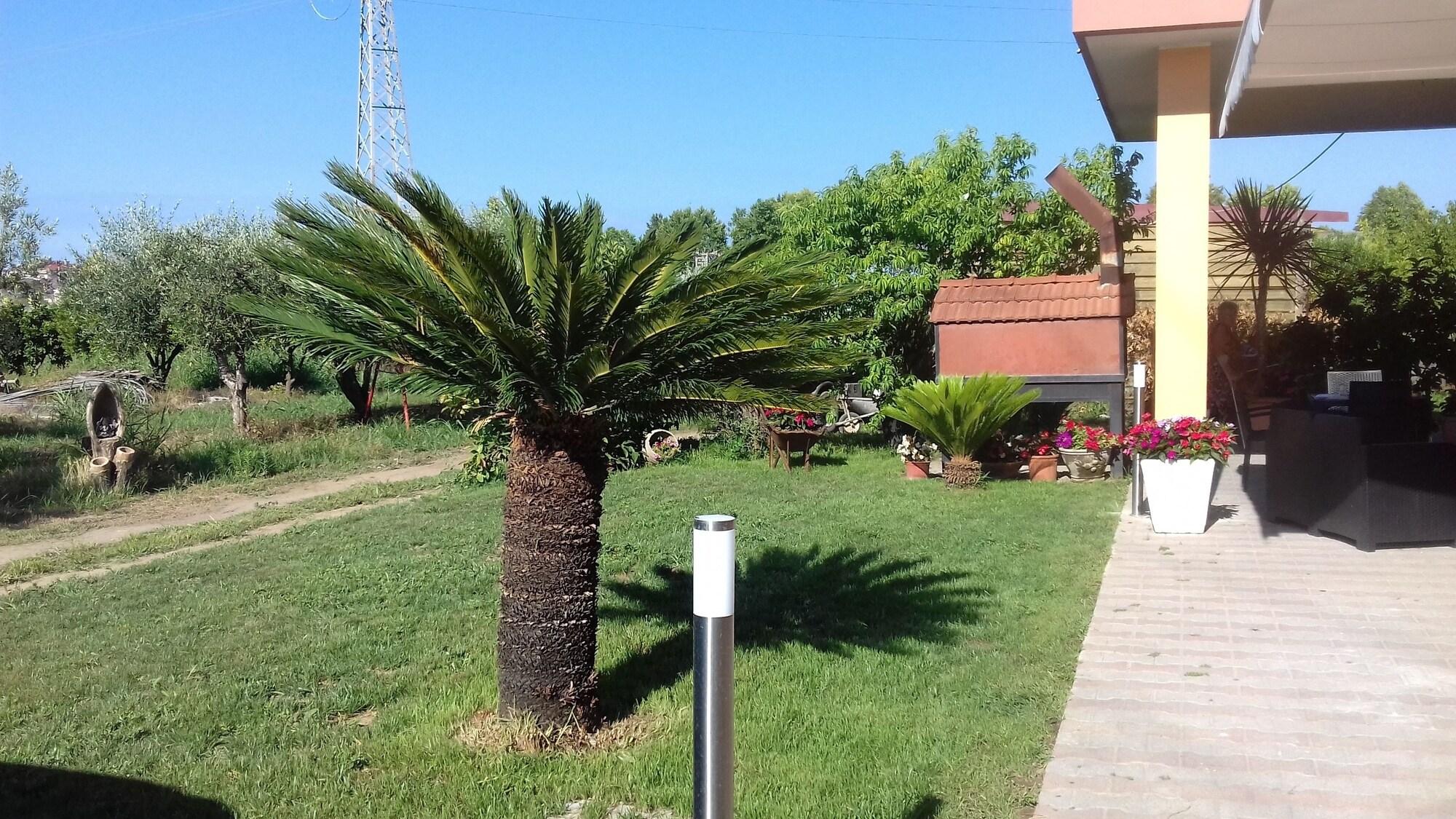 image url