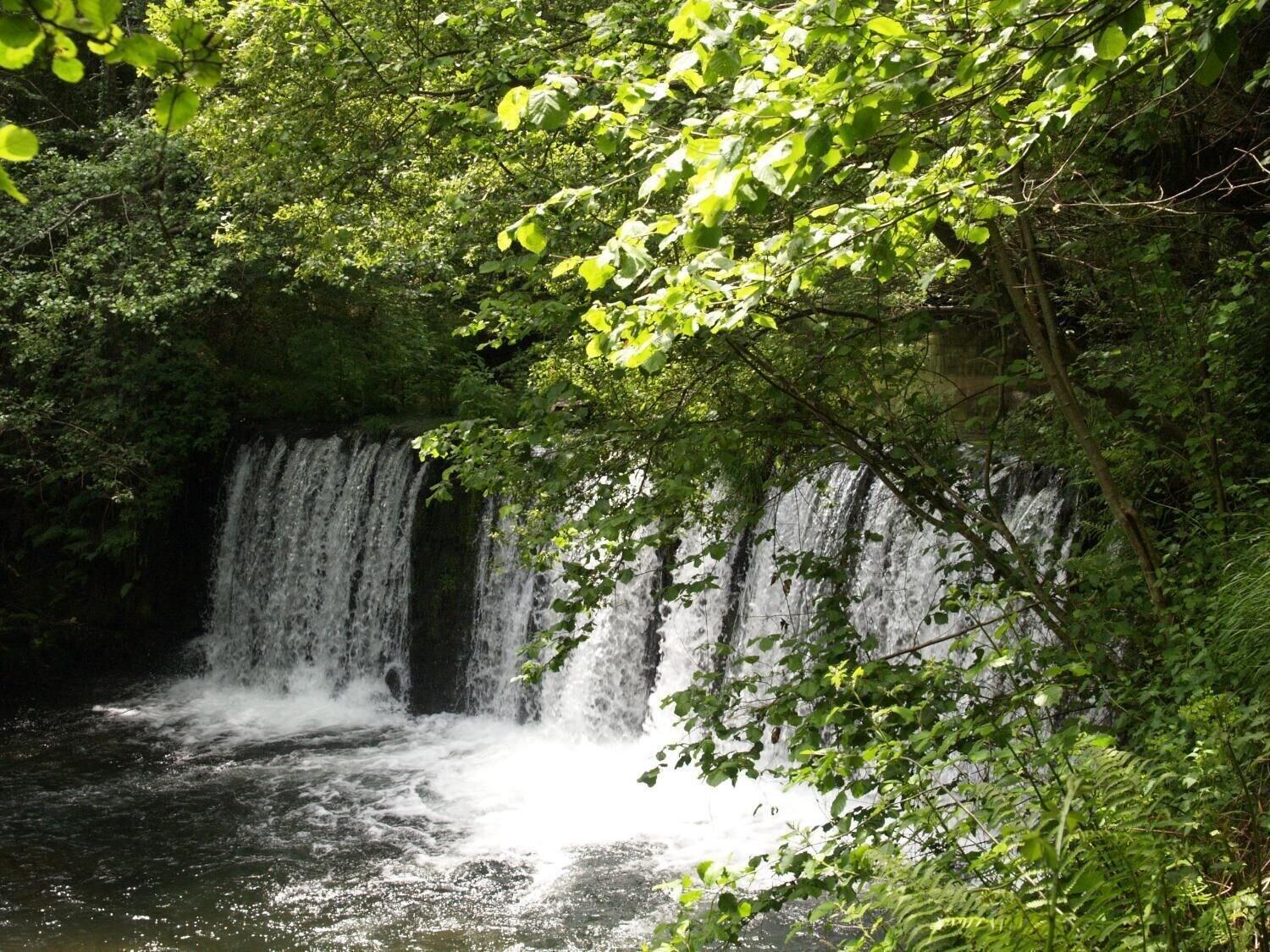 image url