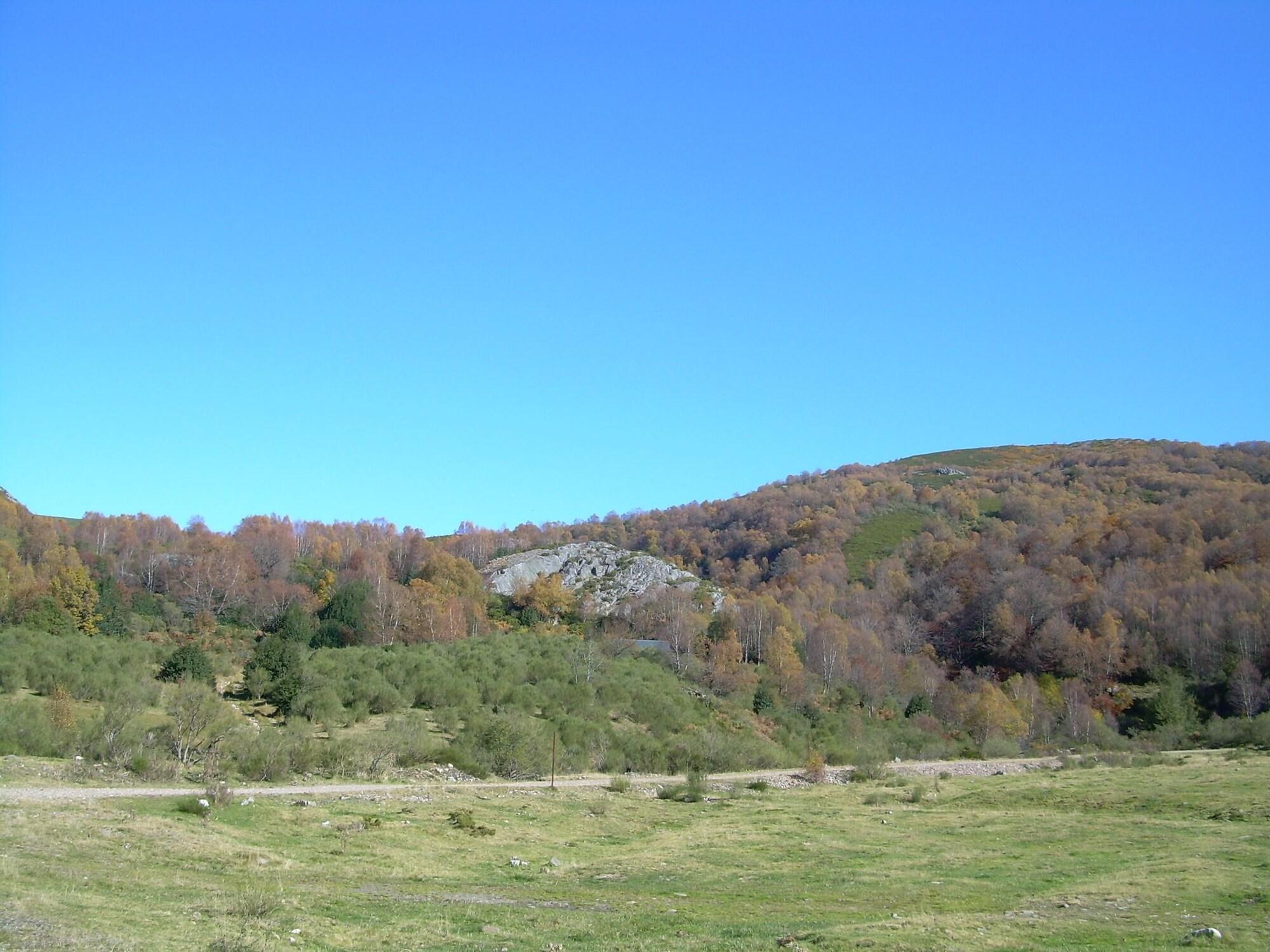 image url