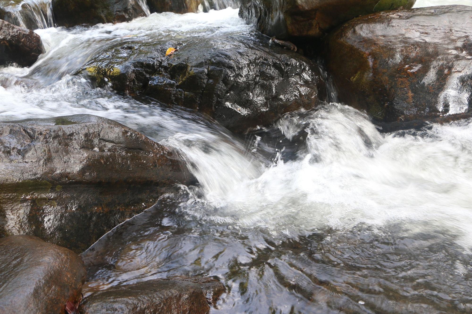 image url