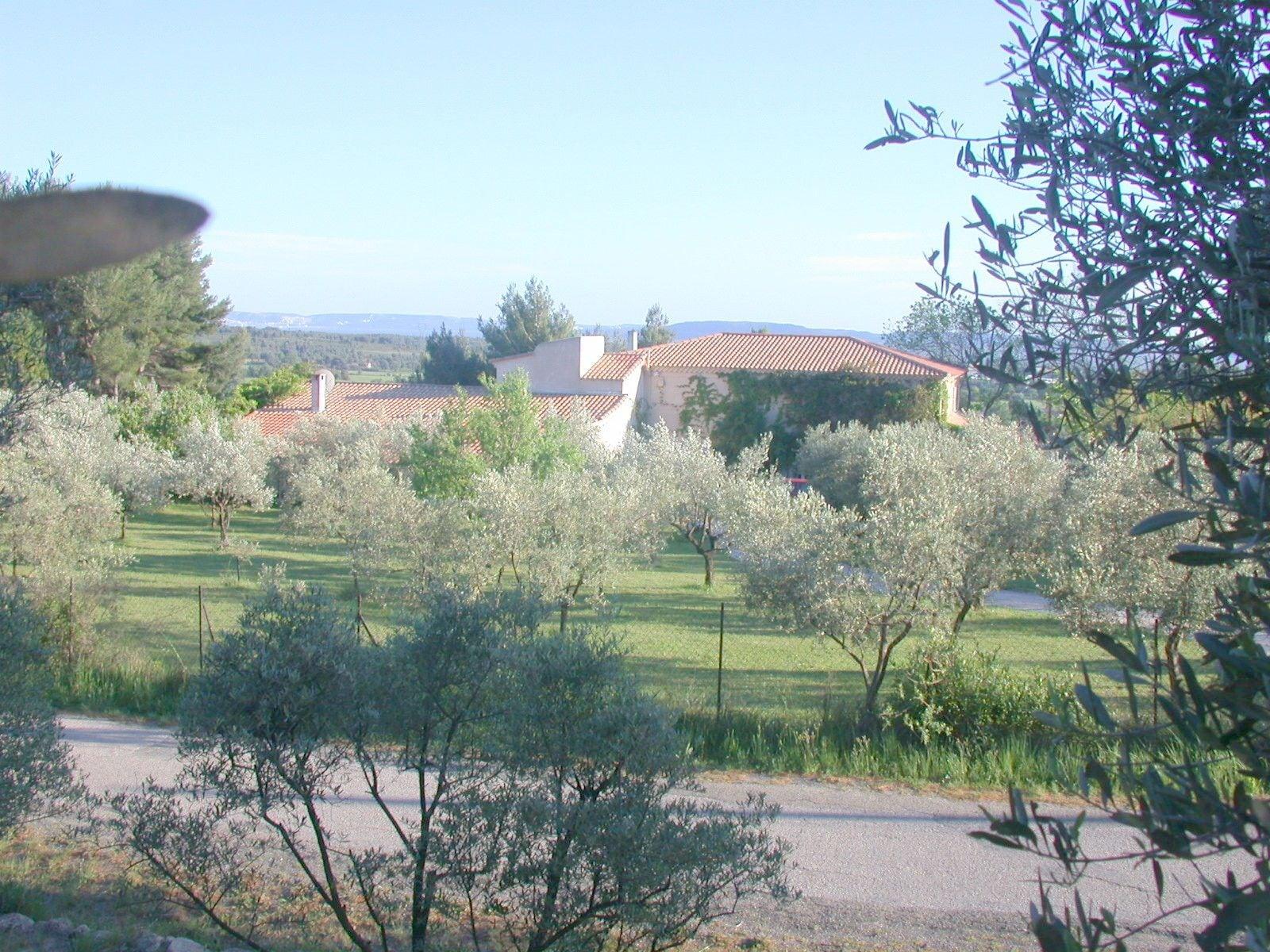 image url