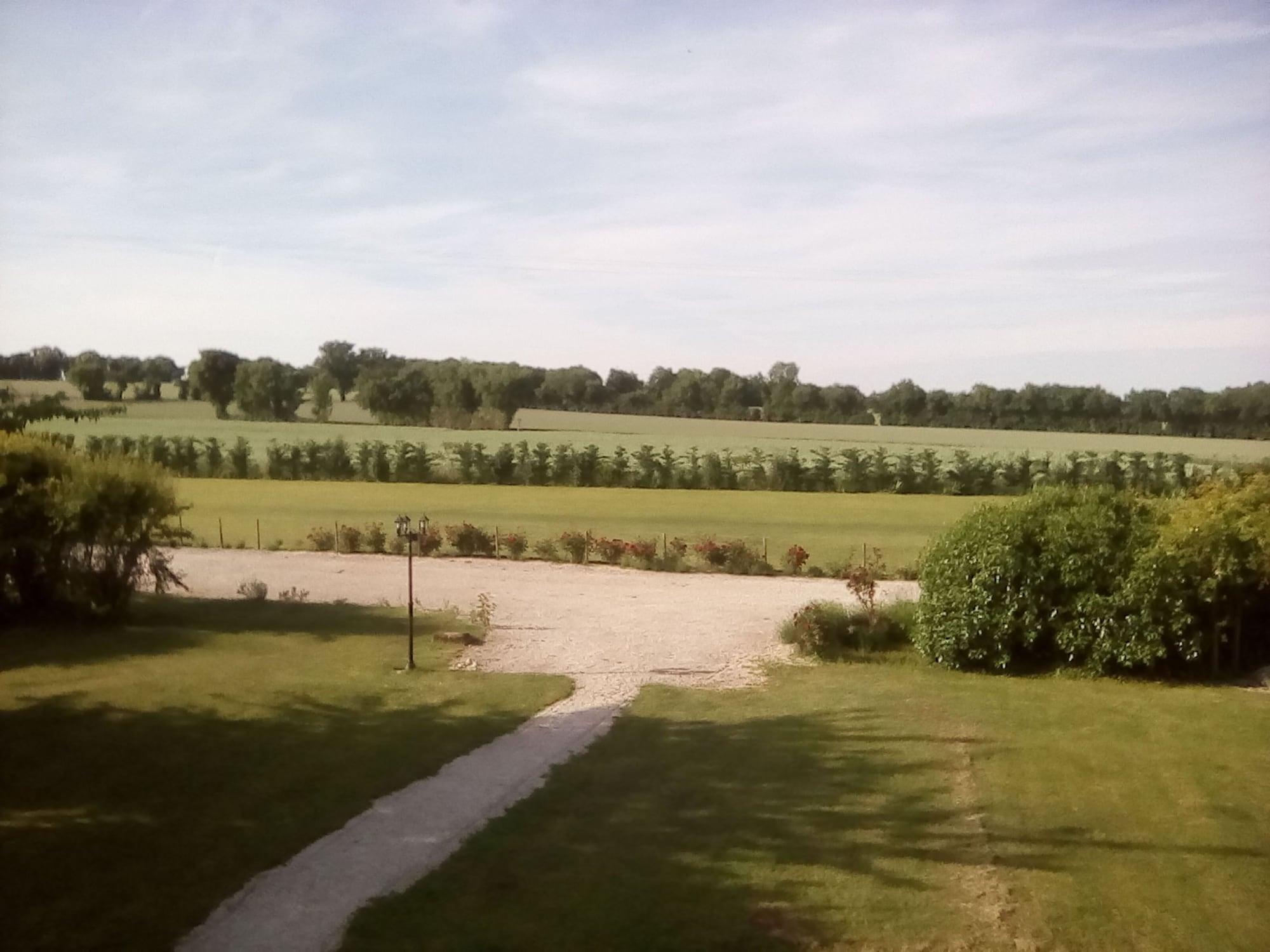 image url
