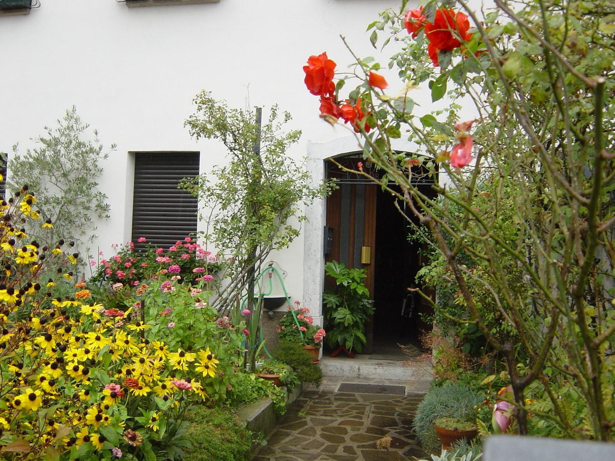 image url