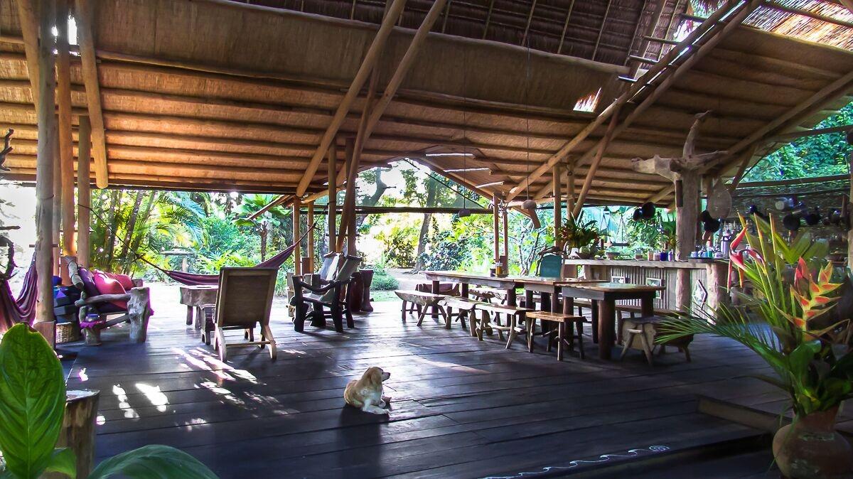 image url