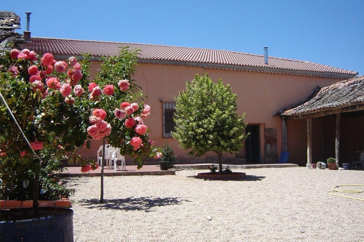 image url