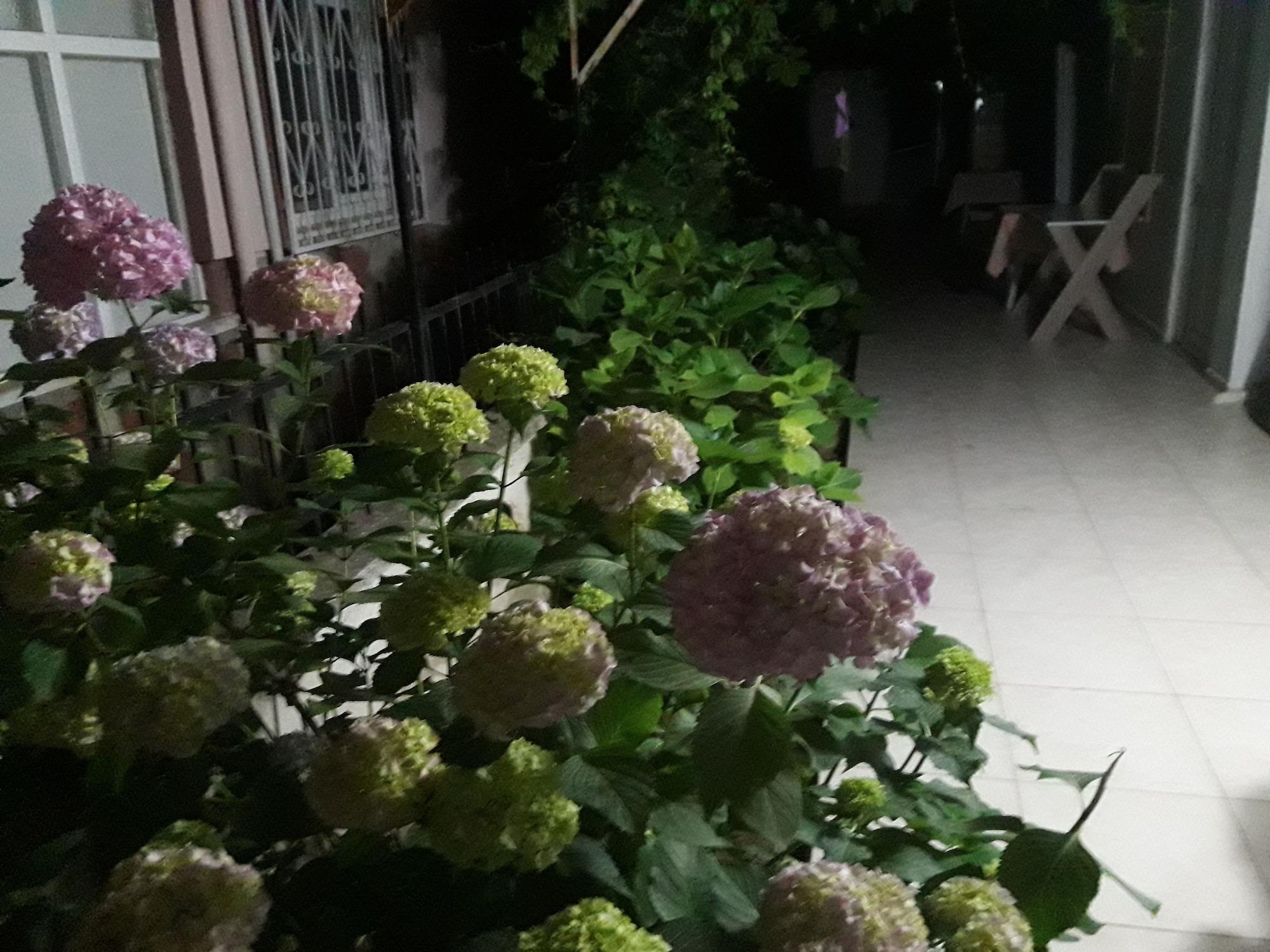 image url
