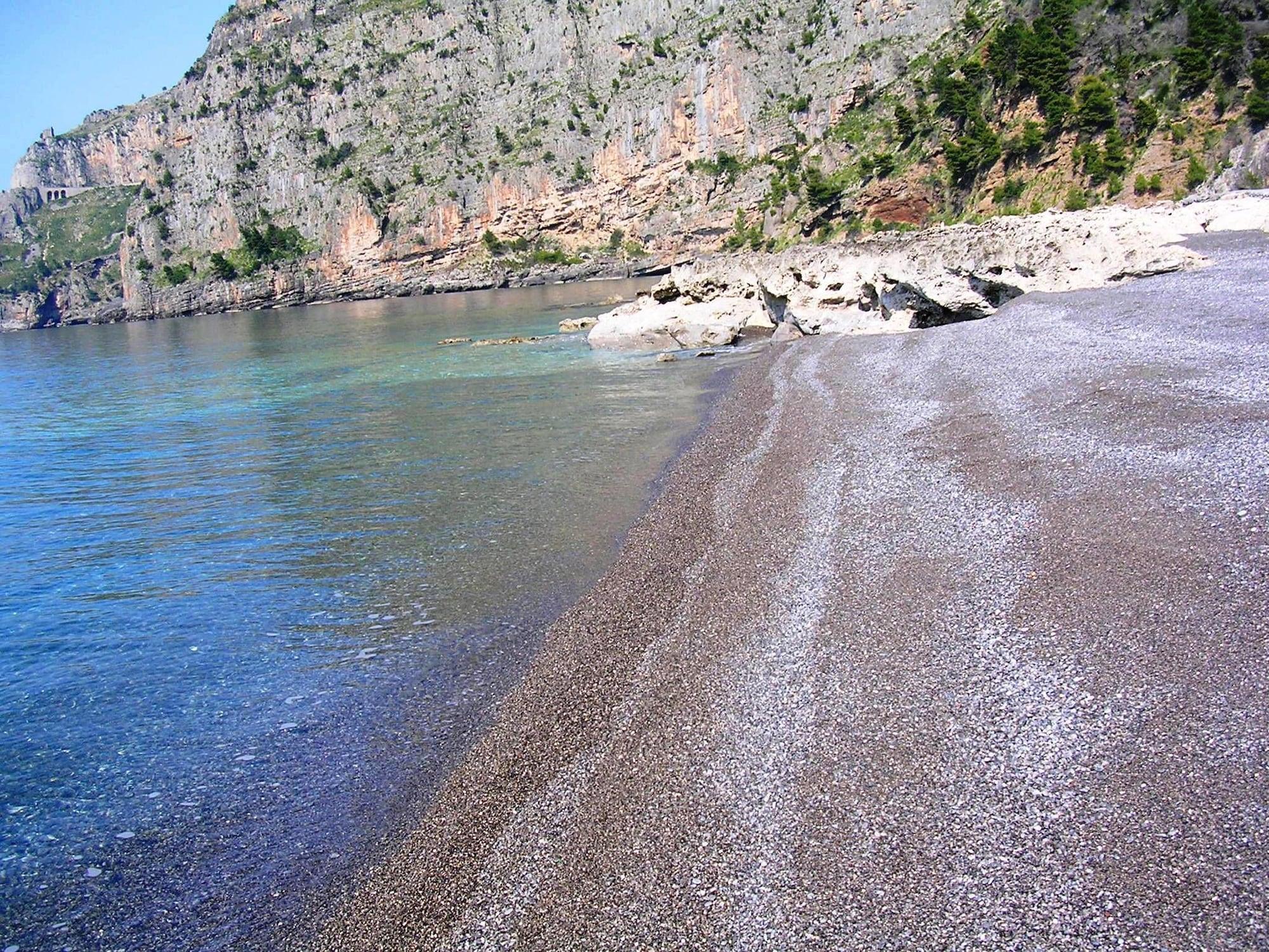 image url