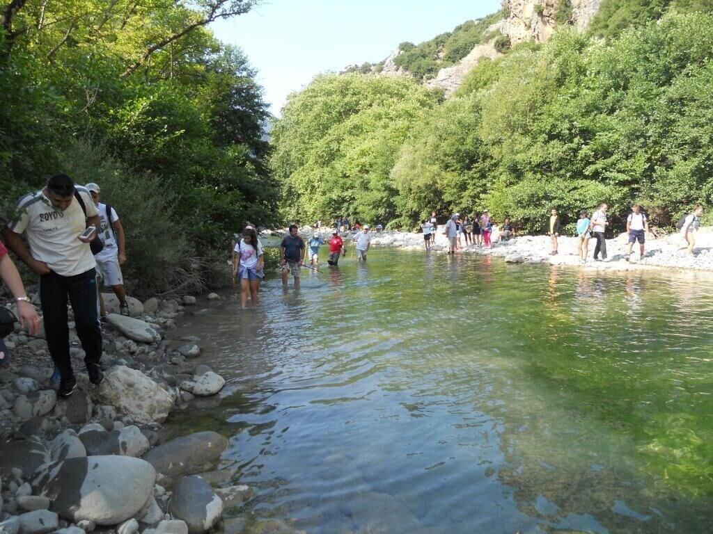 image url