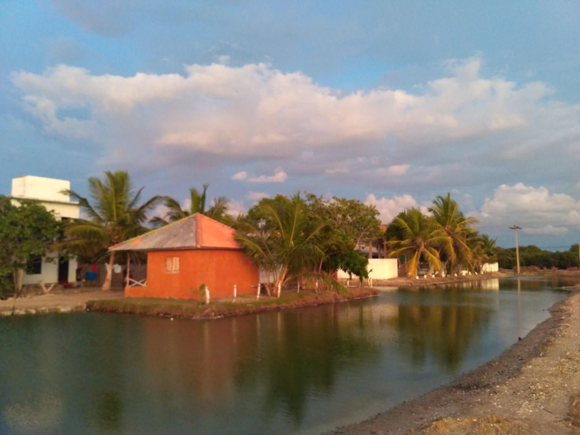 images