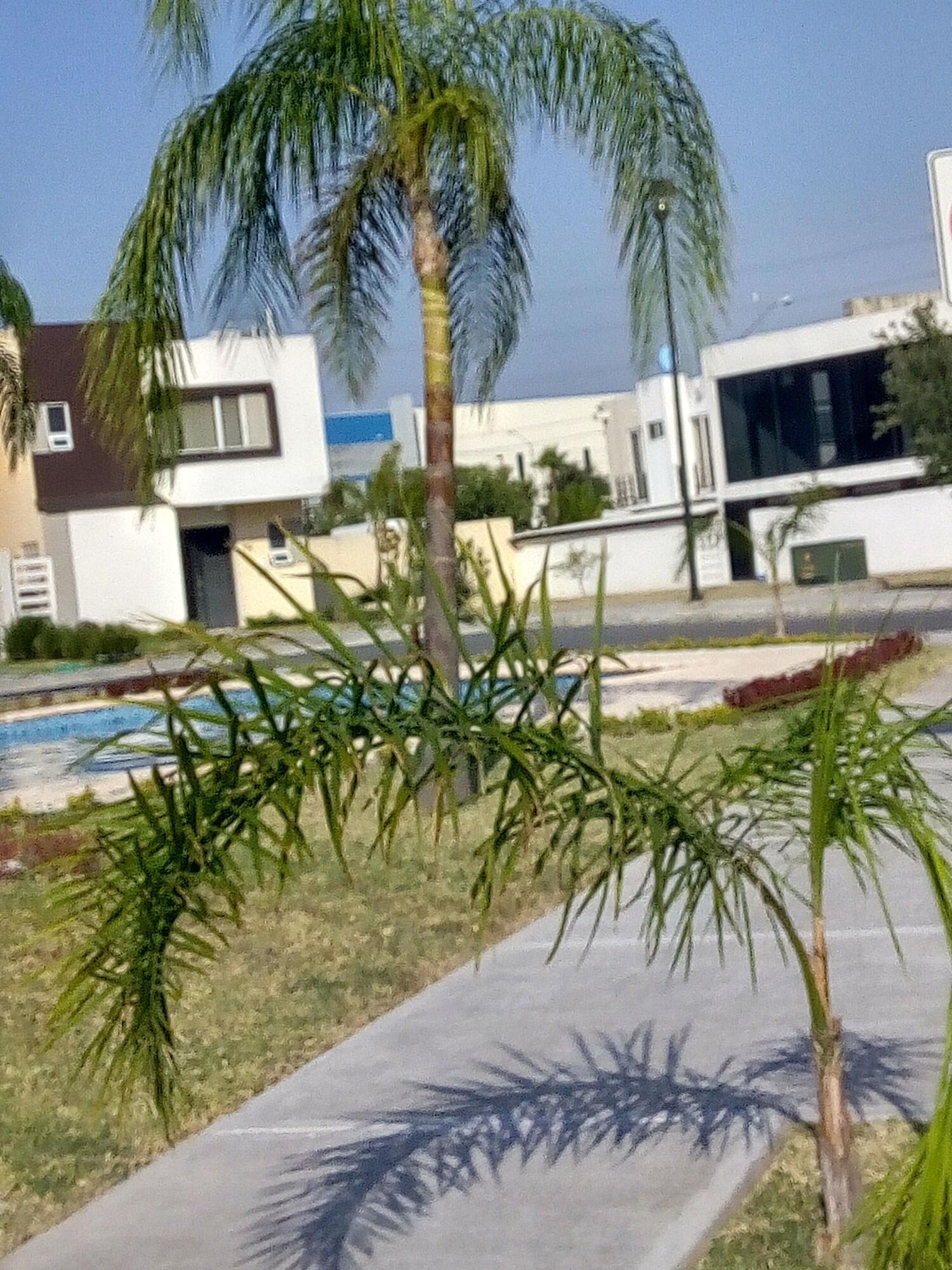 image url