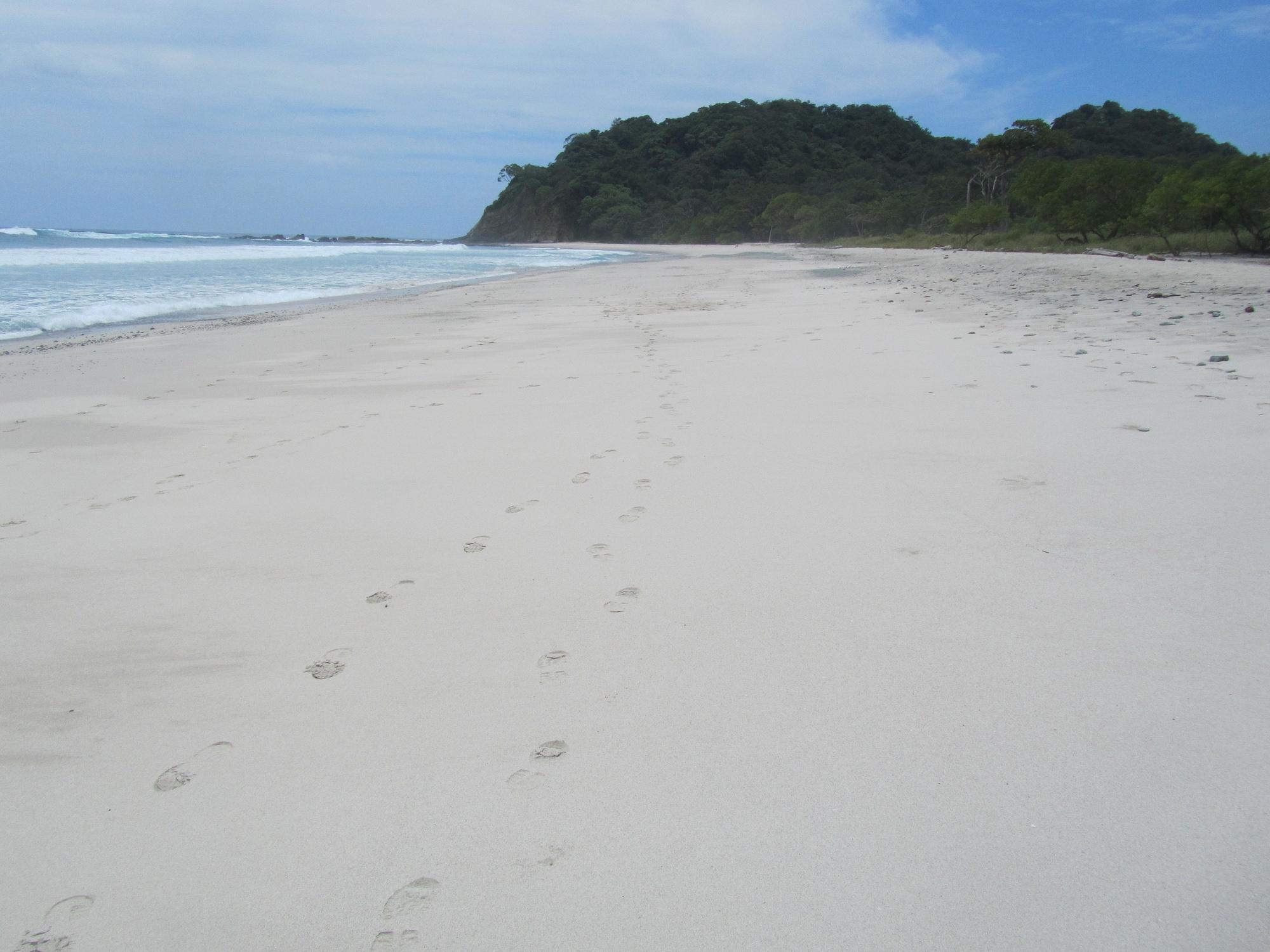 image url