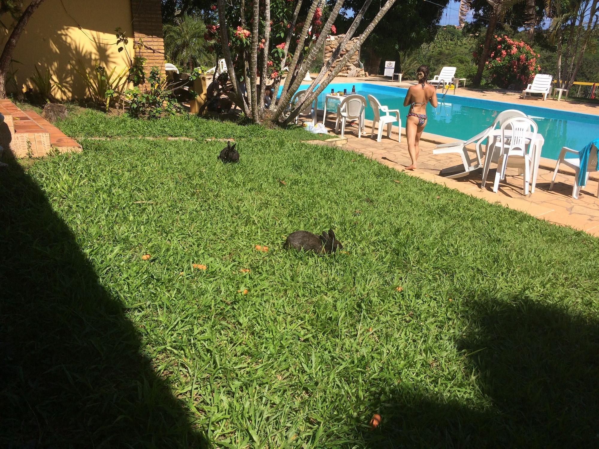 image url