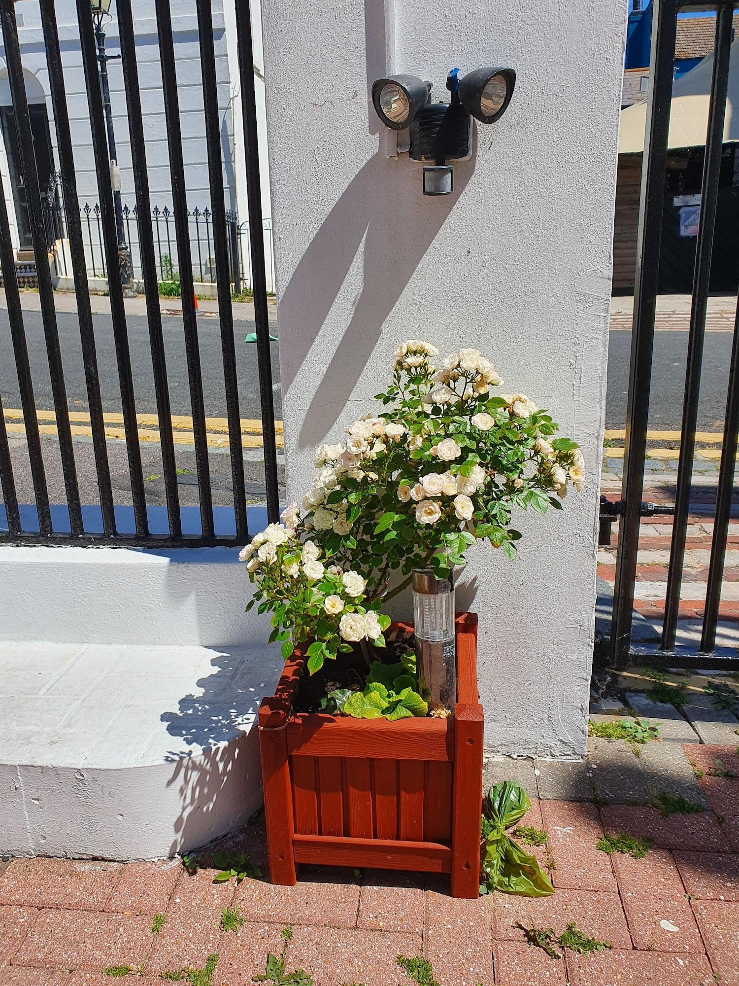 image url