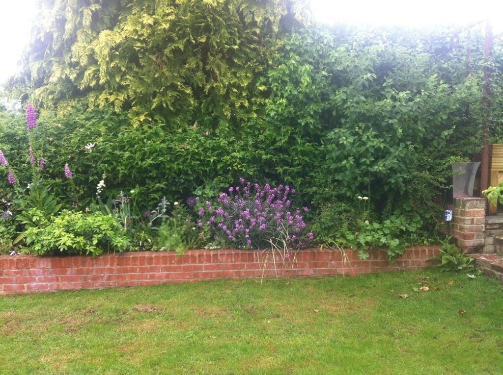 image url