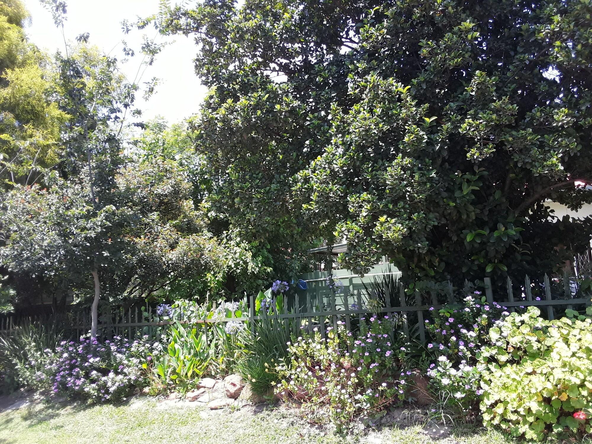 image url