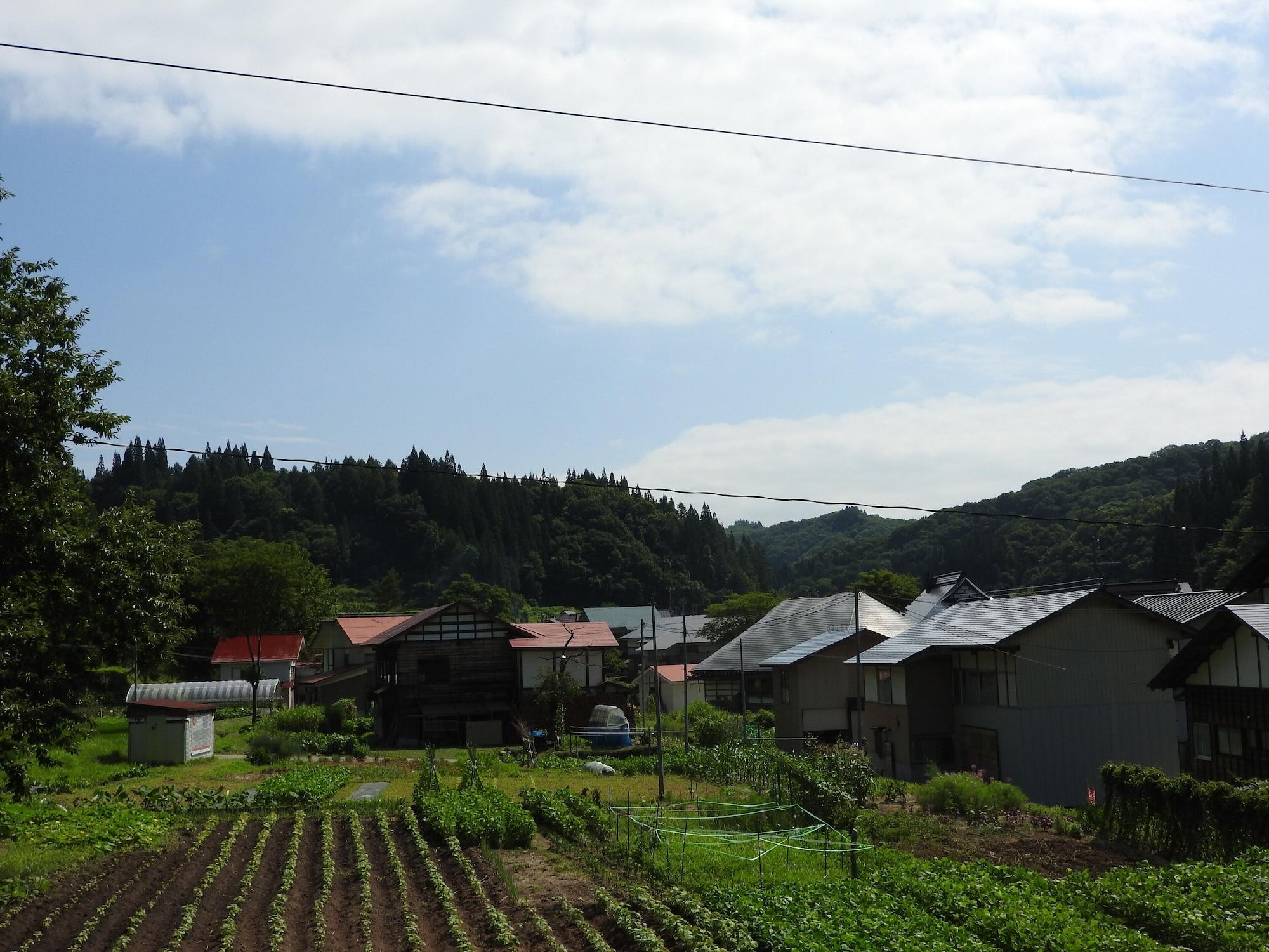 image url