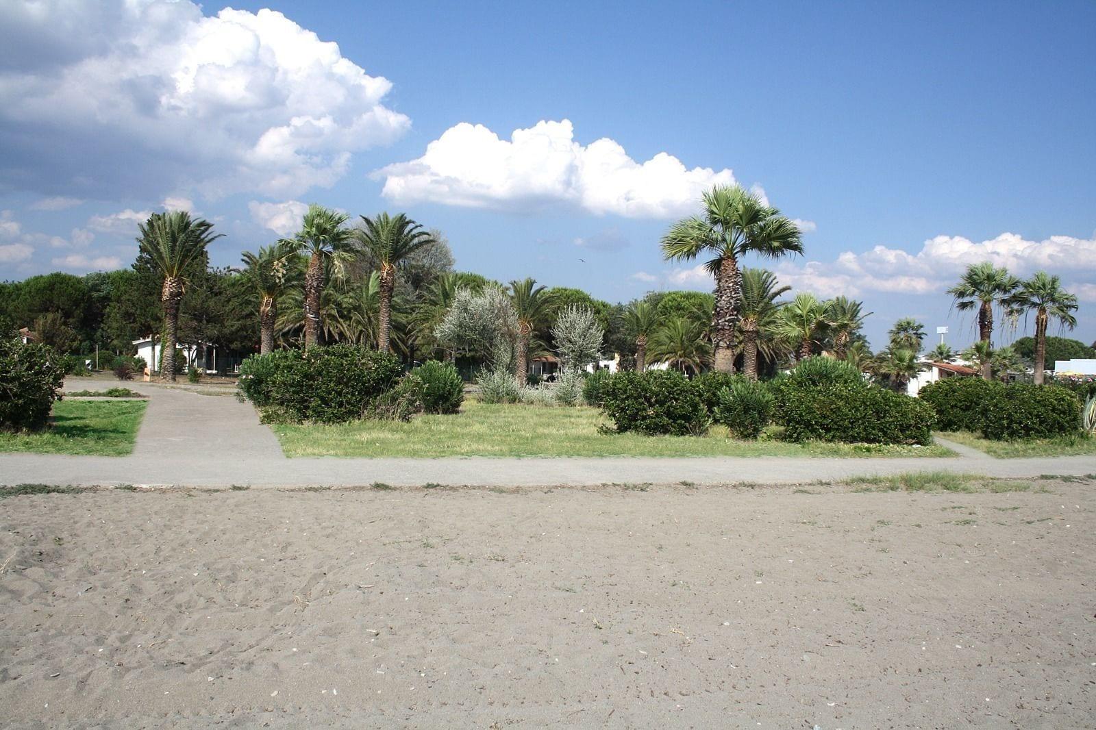 image url