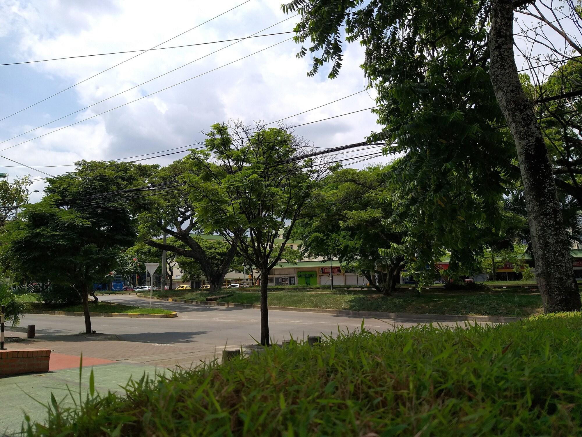 image url